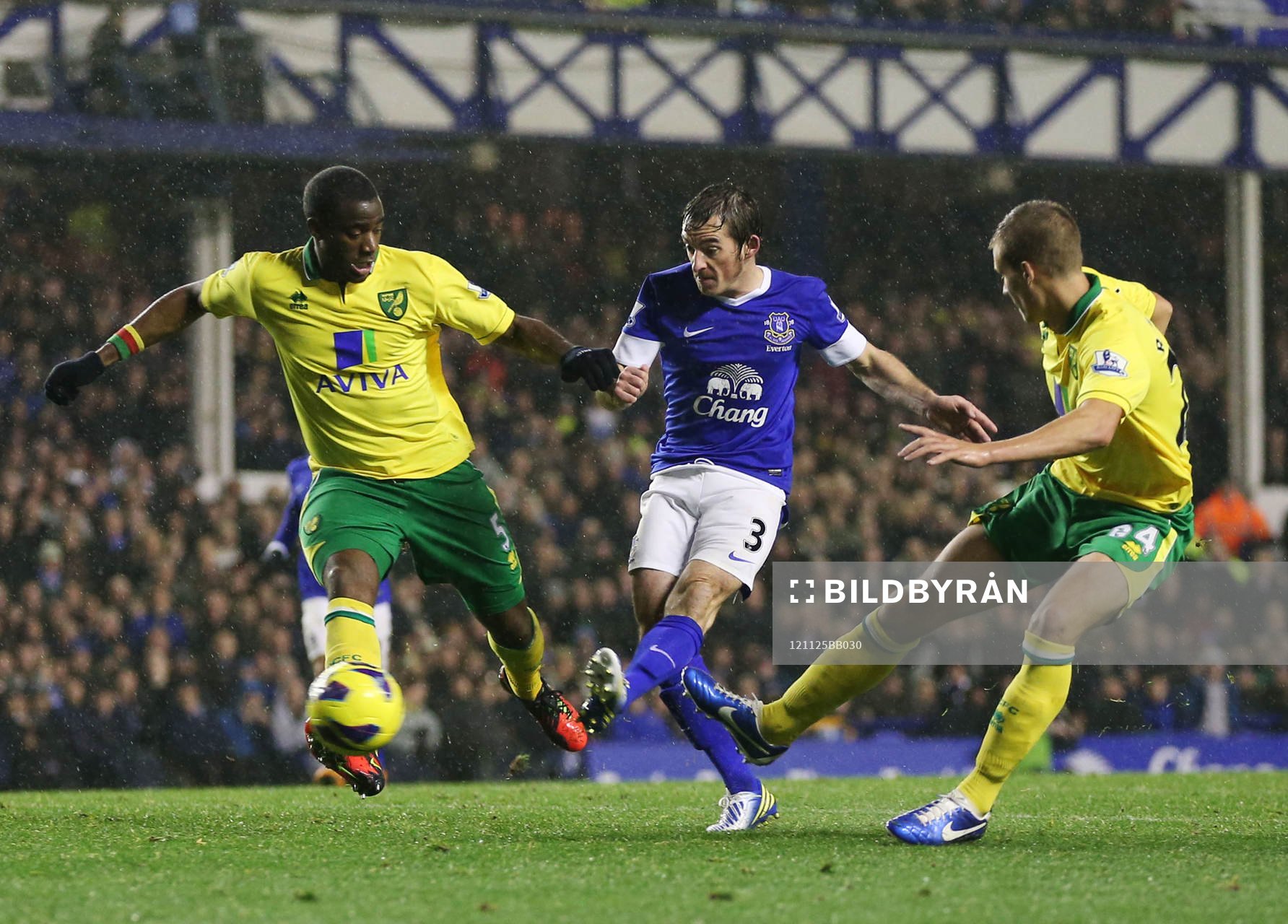 Football - Everton v Norwich City - Barclays Premier League