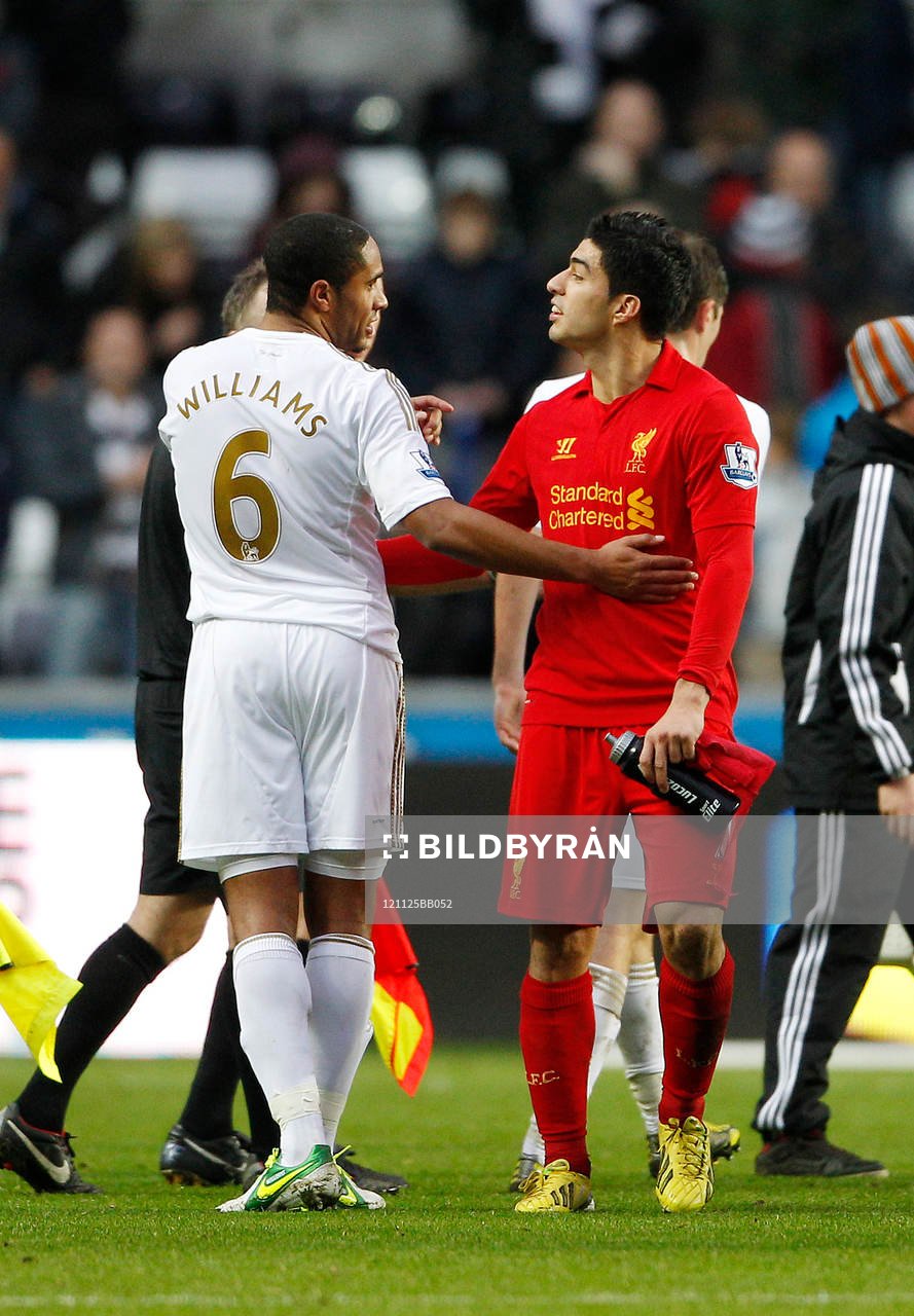Football - Swansea City v Liverpool - Barclays Premier
