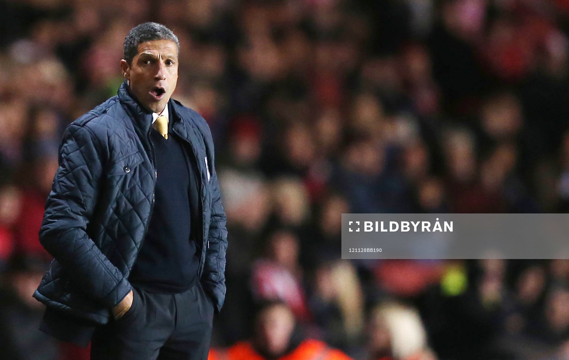 Football - Southampton v Norwich City - Barclays Premier