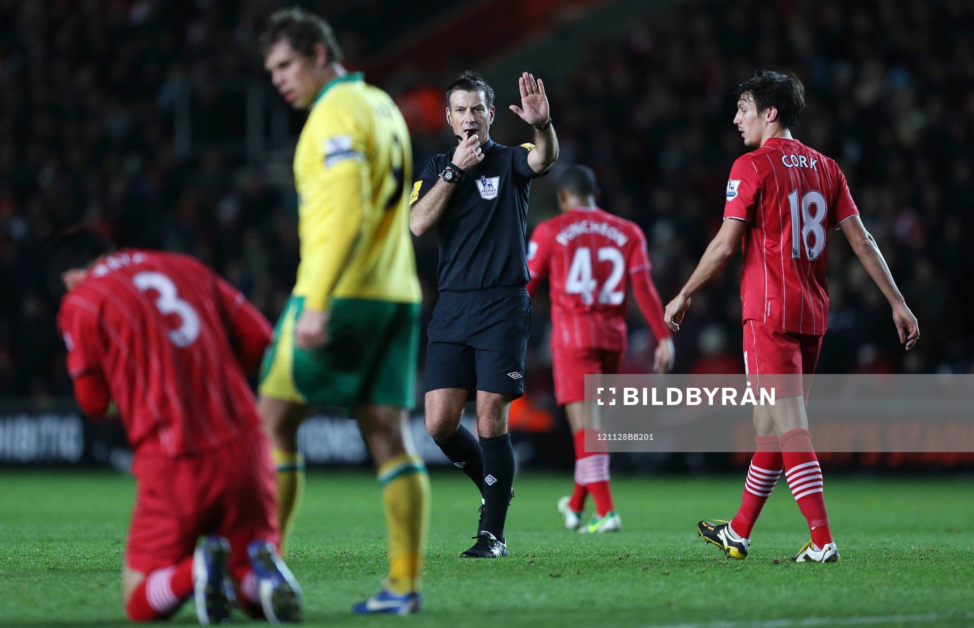 Football - Southampton v Norwich City - Barclays Premier