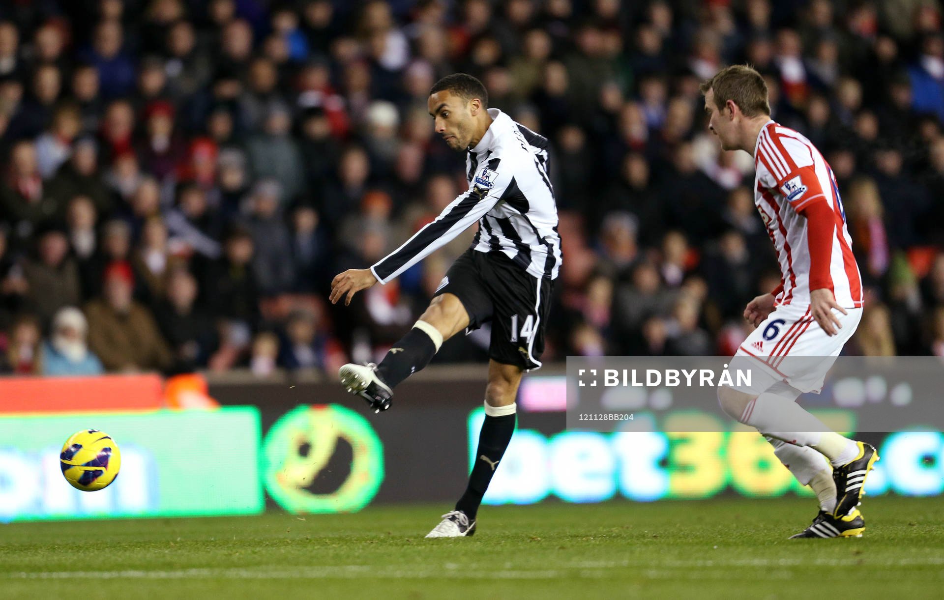 Football - Stoke City v Newcastle United - Barclays Premier