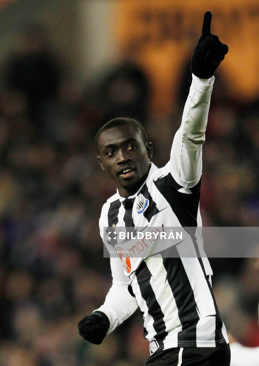 Football - Stoke City v Newcastle United - Barclays Premier