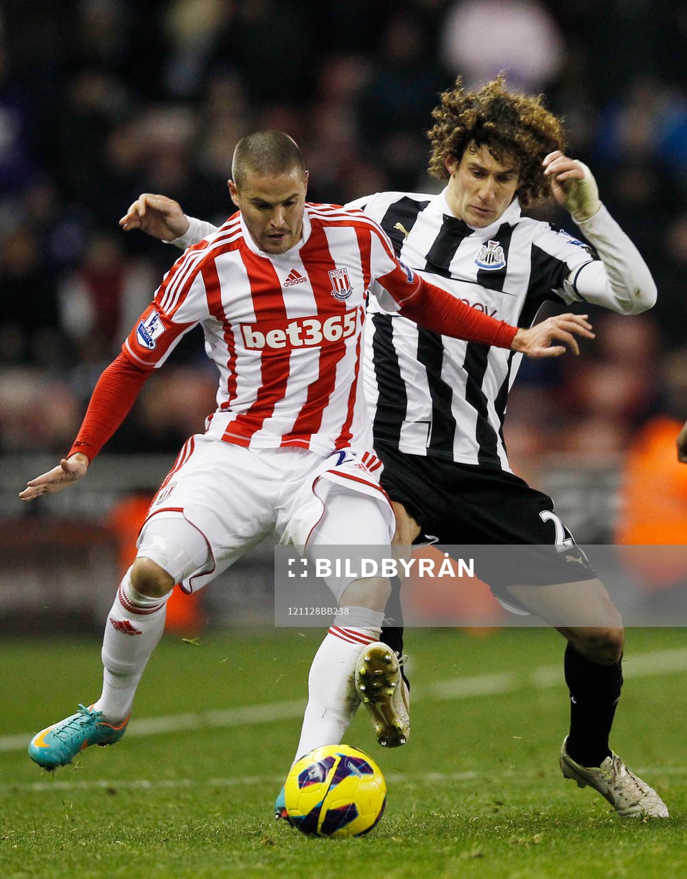 Football - Stoke City v Newcastle United - Barclays Premier