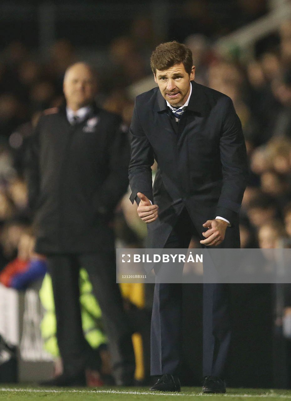Football - Fulham v Tottenham Hotspur - Barclays Premier