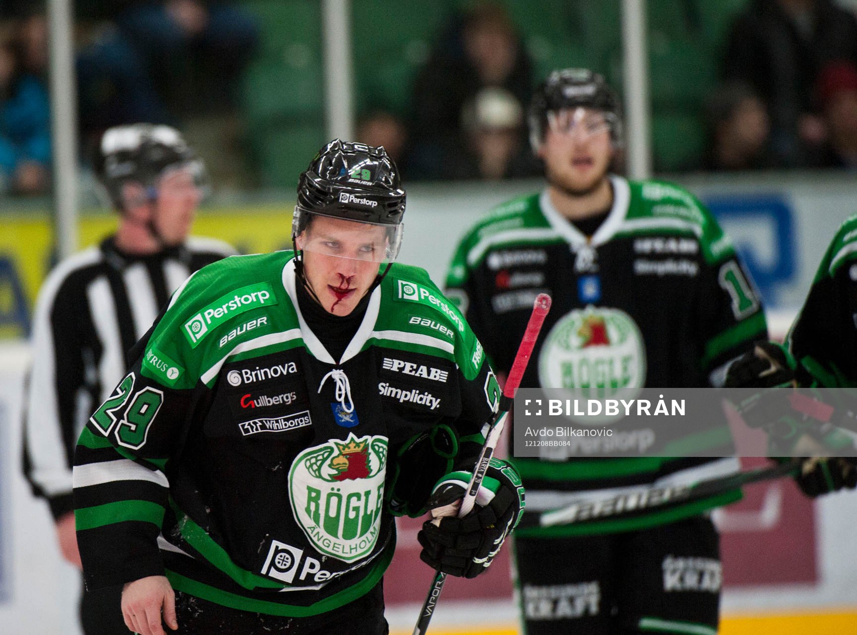 Alexander BArta, Rögle, skada, blöder