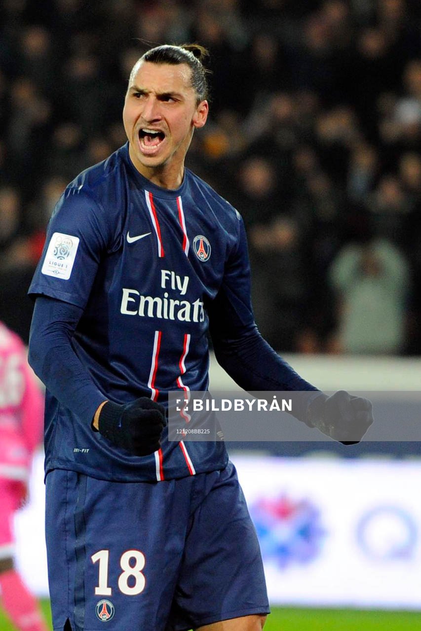 ZLATAN IBRAHIMOVIC  - 08.12.2012 - PSG / Evian Thonon - 16e