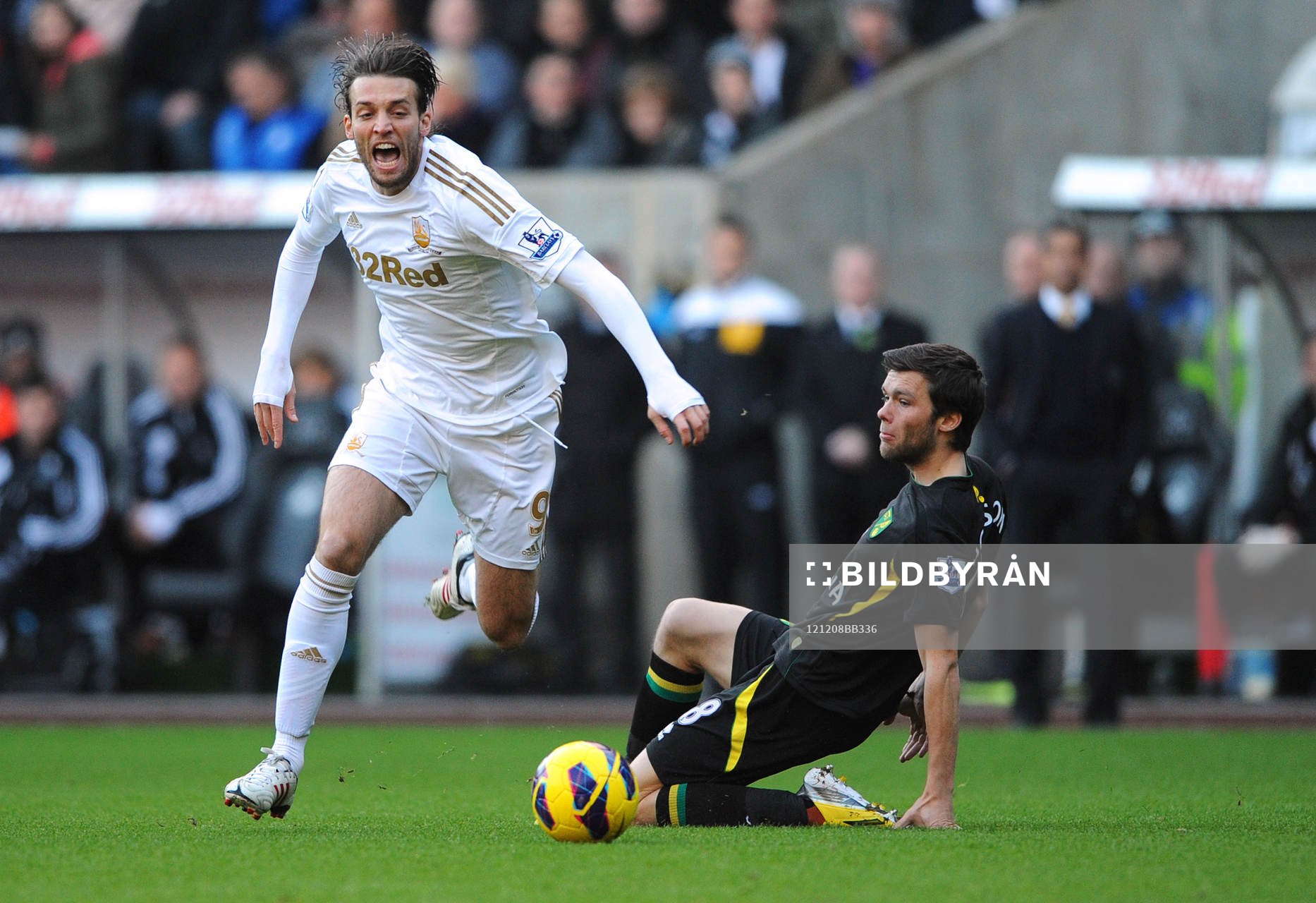 Football - Swansea City v Norwich City - Barclays Premier