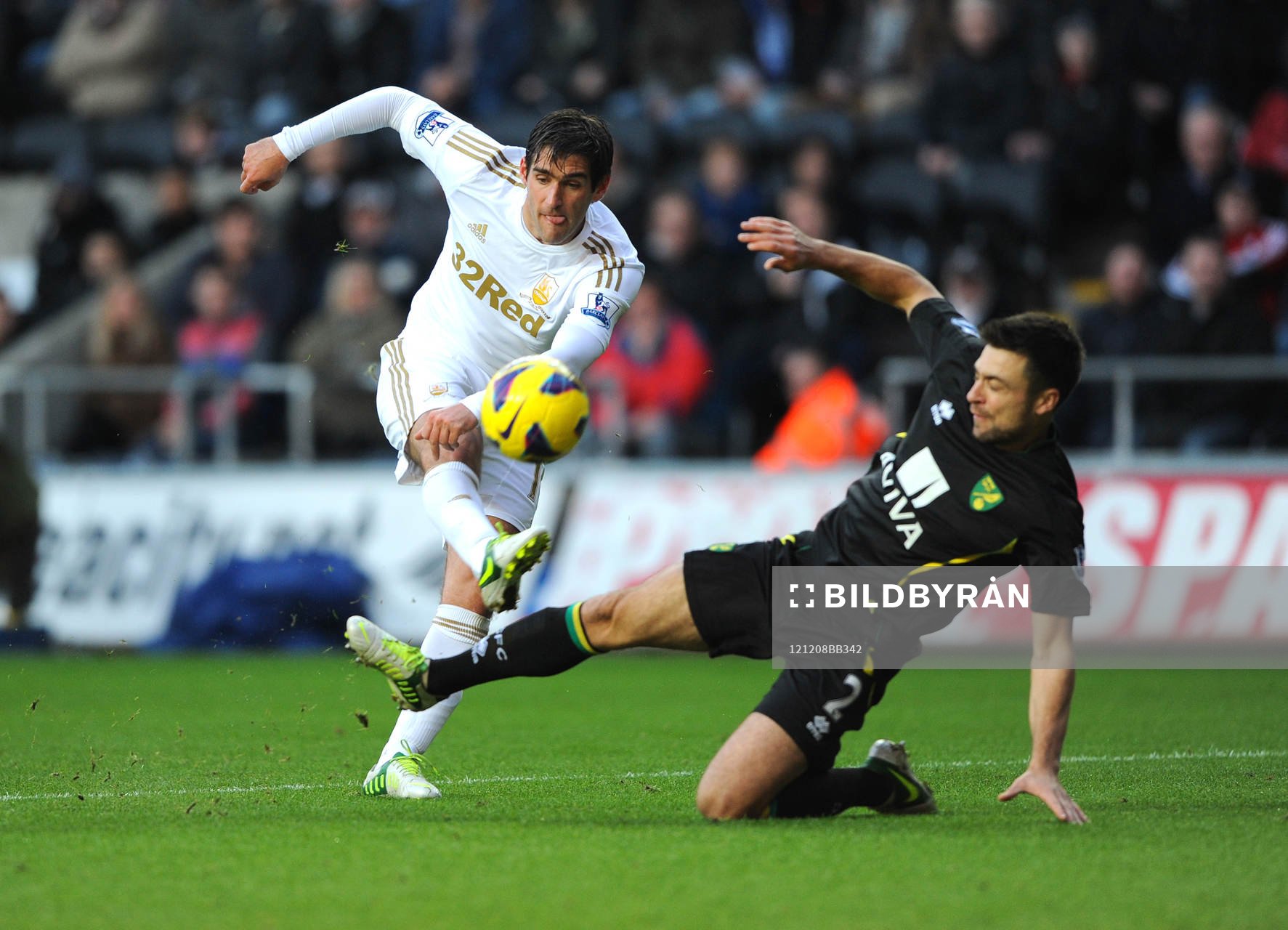 Football - Swansea City v Norwich City - Barclays Premier