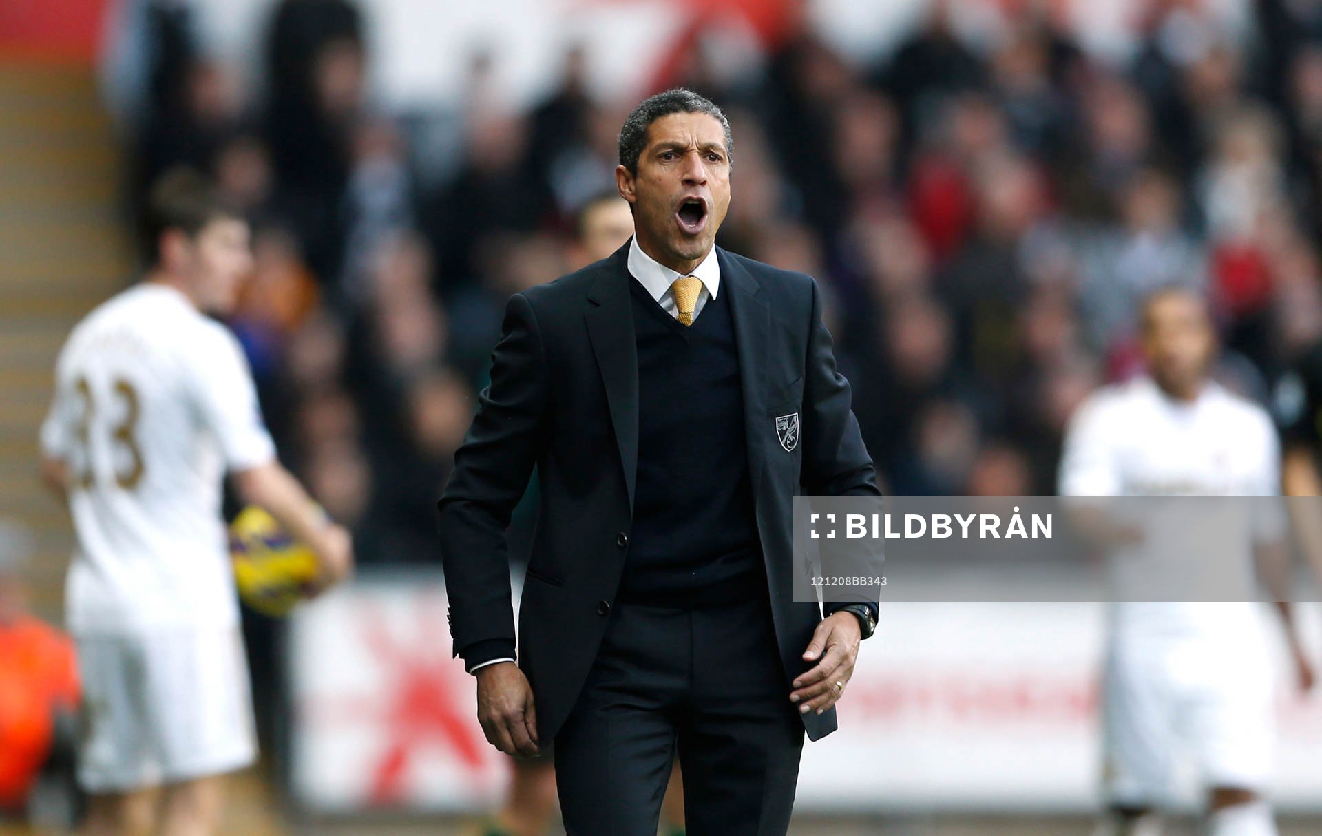 Football - Swansea City v Norwich City - Barclays Premier