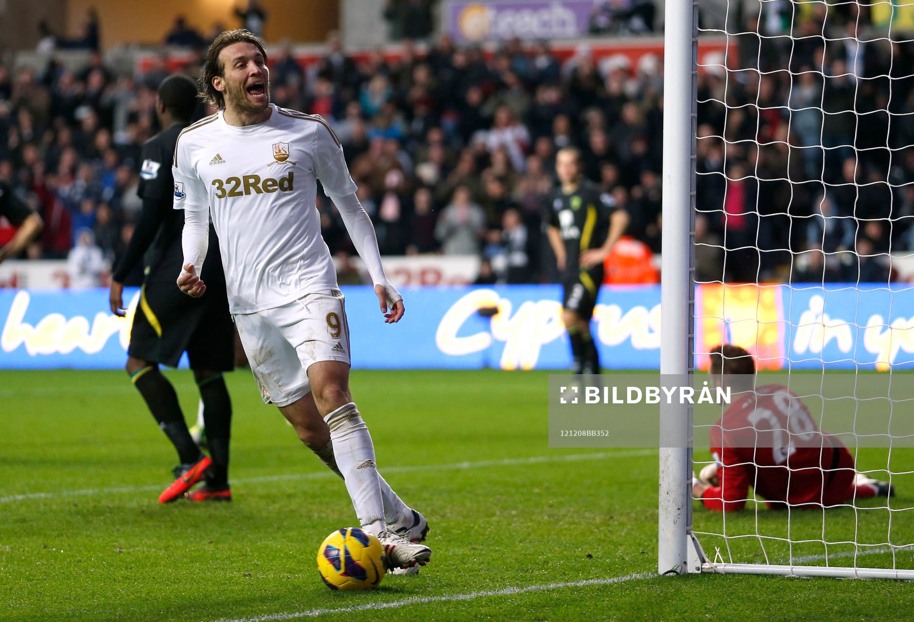 Football - Swansea City v Norwich City - Barclays Premier
