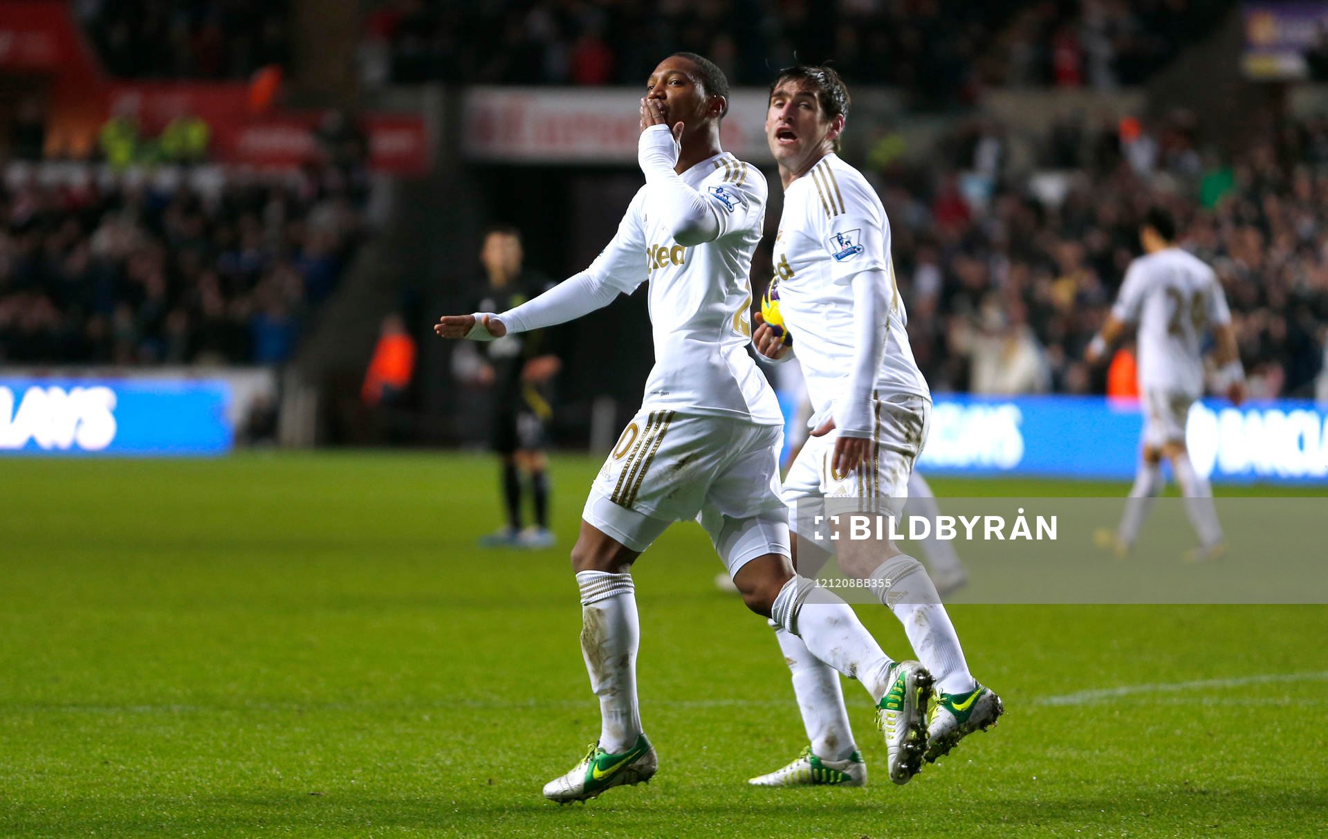 Football - Swansea City v Norwich City - Barclays Premier