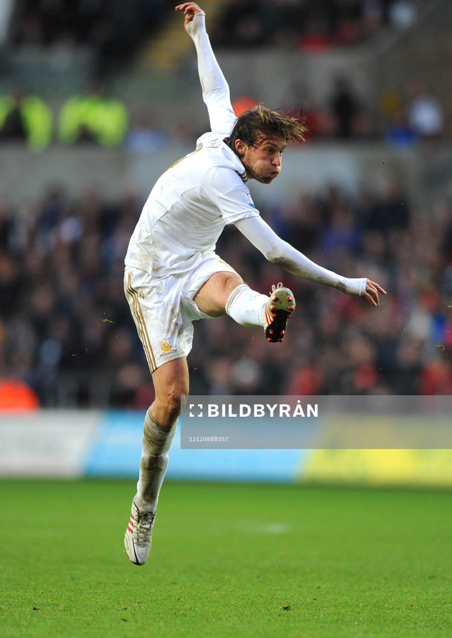 Football - Swansea City v Norwich City - Barclays Premier