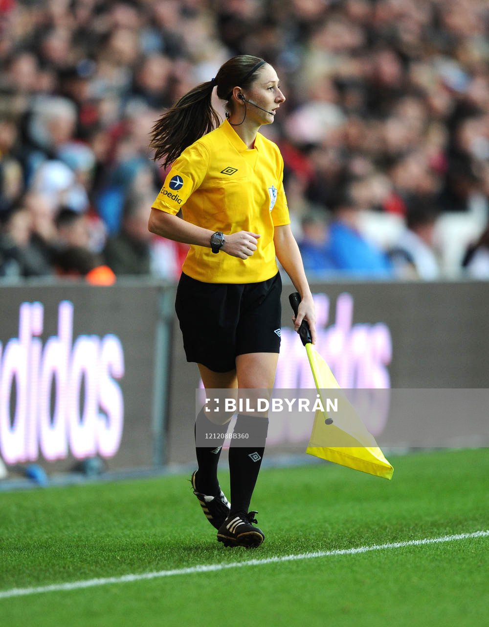Football - Swansea City v Norwich City - Barclays Premier