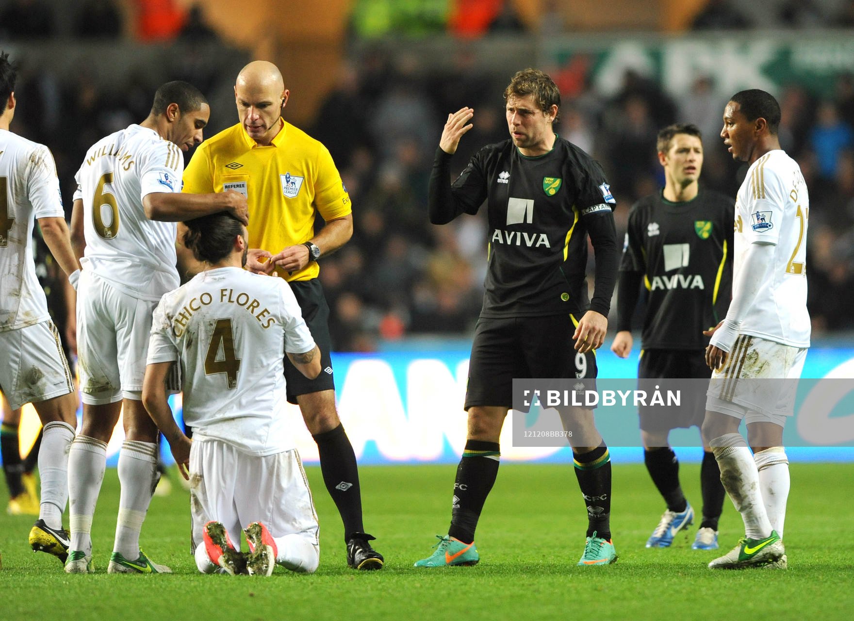 Football - Swansea City v Norwich City - Barclays Premier