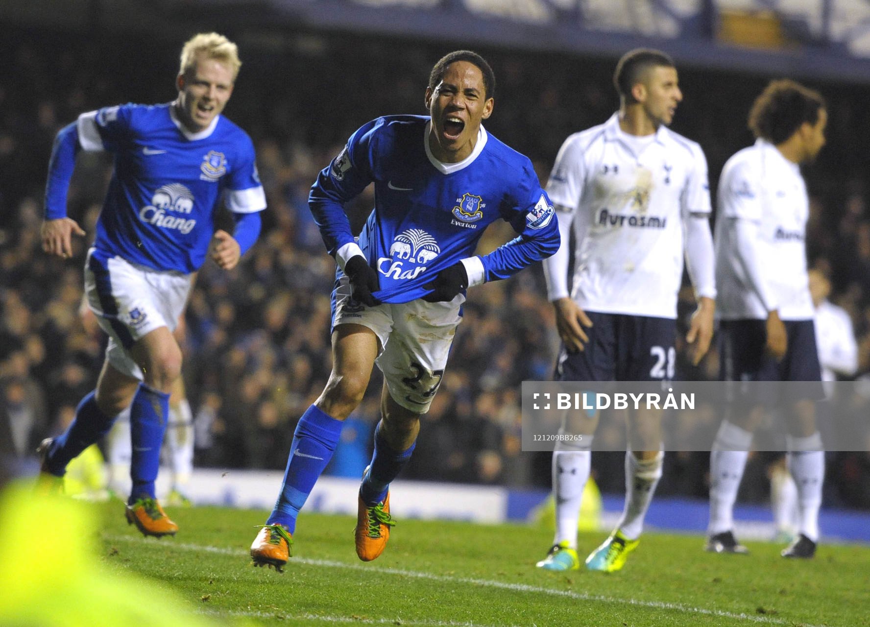 Football - Everton v Tottenham Hotspur - Barclays Premier