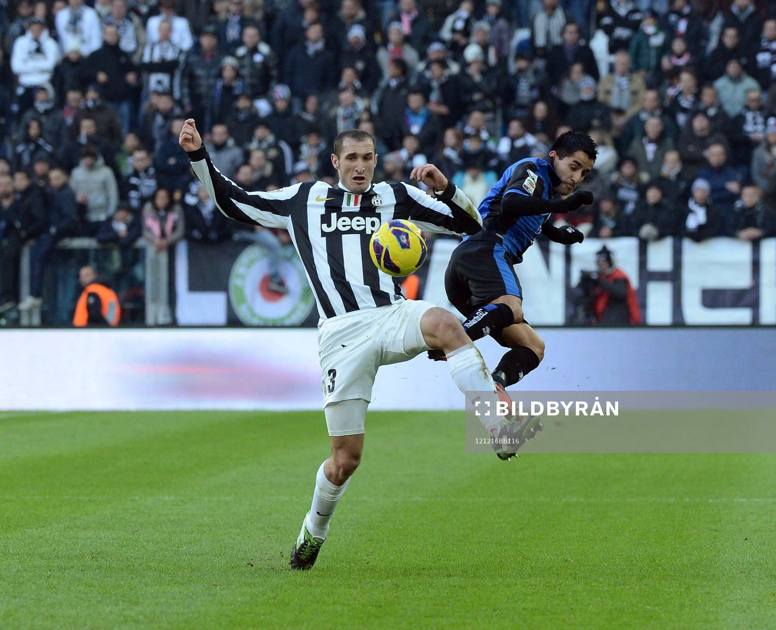 GIORGIO CHIELLINI-MAX MORALEZ