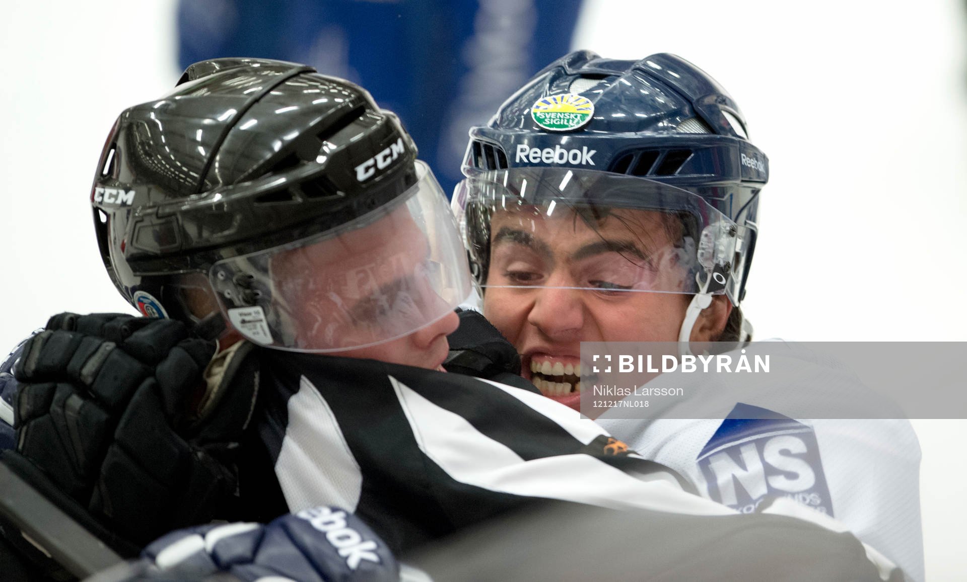 Michael raffl, Leksand