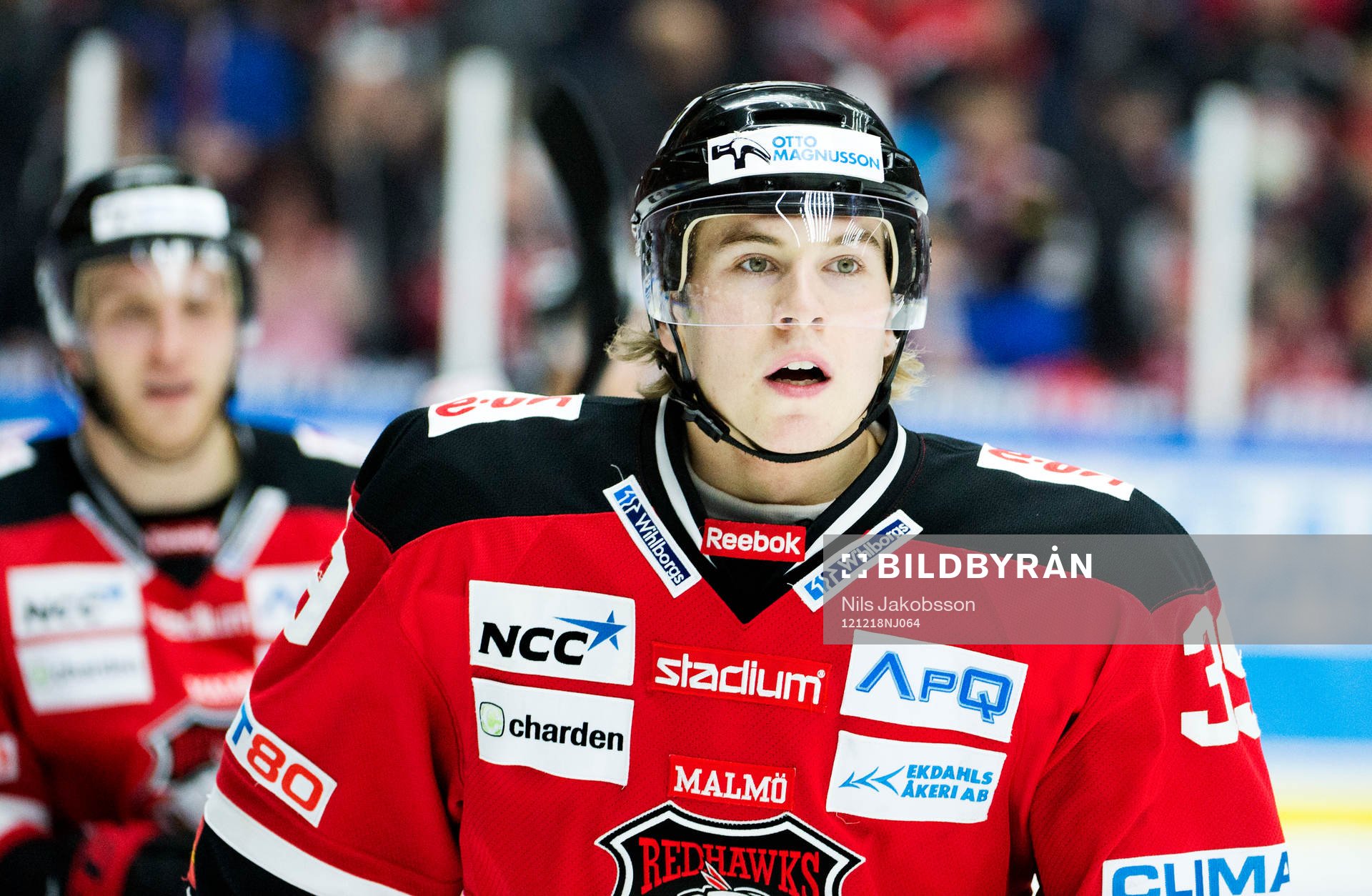 Roger Olsson, Malmö Redhawks