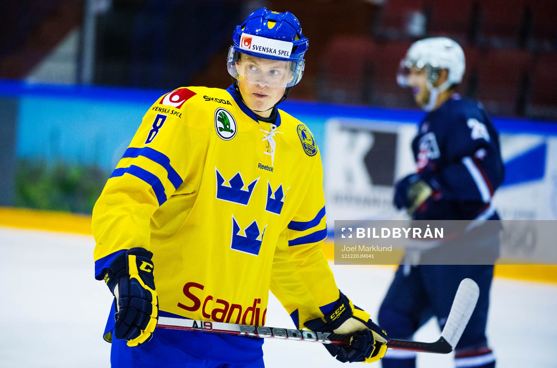 Linus Arnesson, Sverige