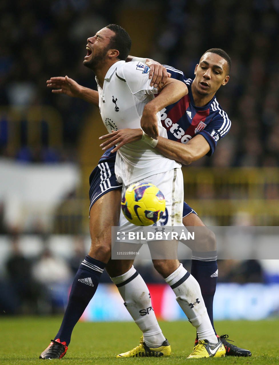 Football - Tottenham Hotspur v Stoke City - Barclays