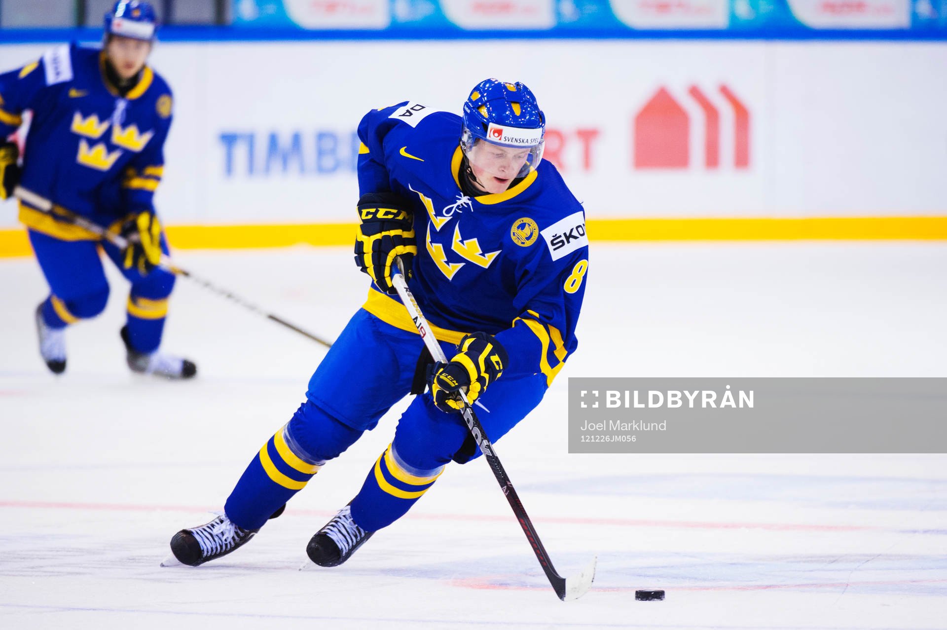 Linus Arnesson, Sverige