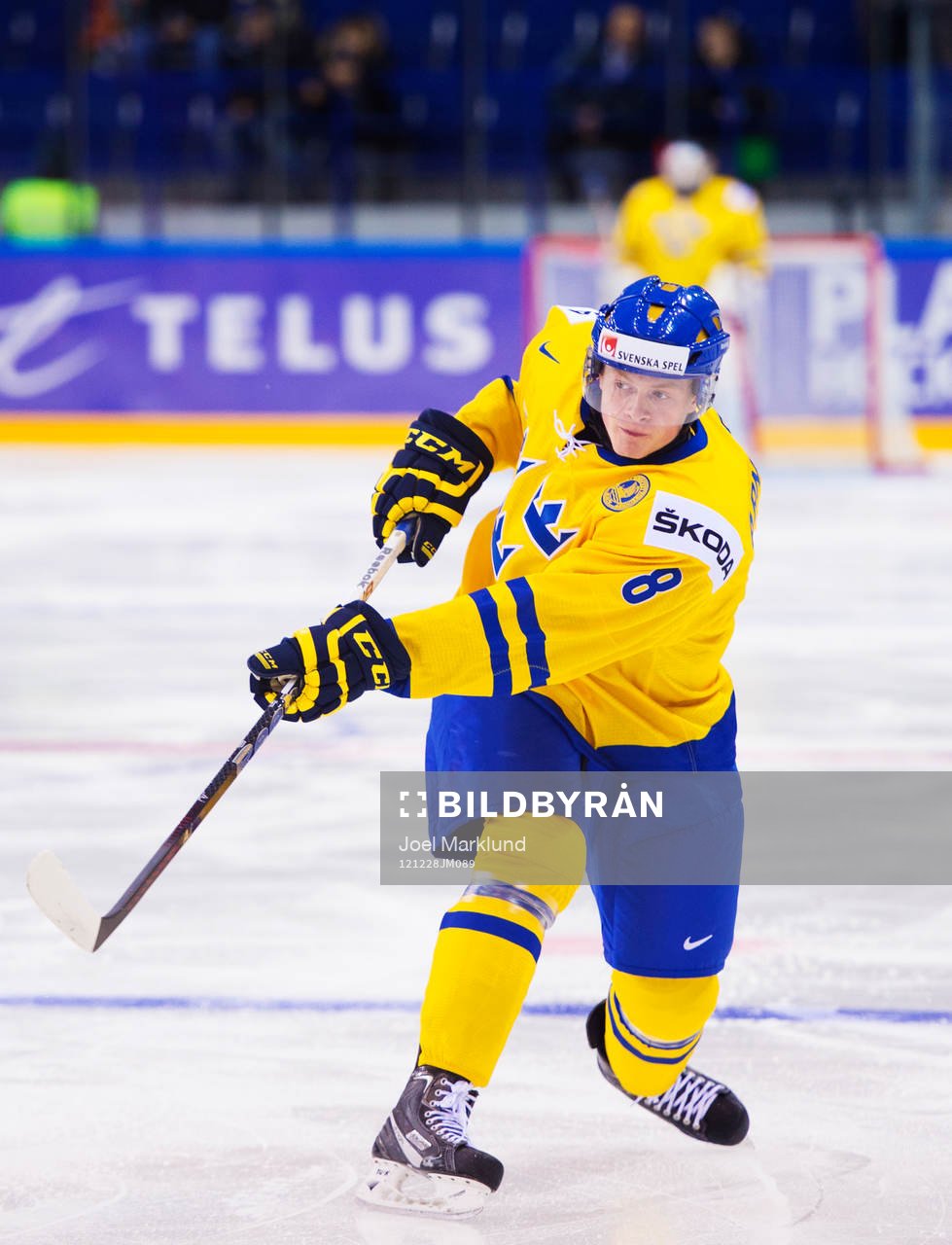 Linus Arnesson, Sverige