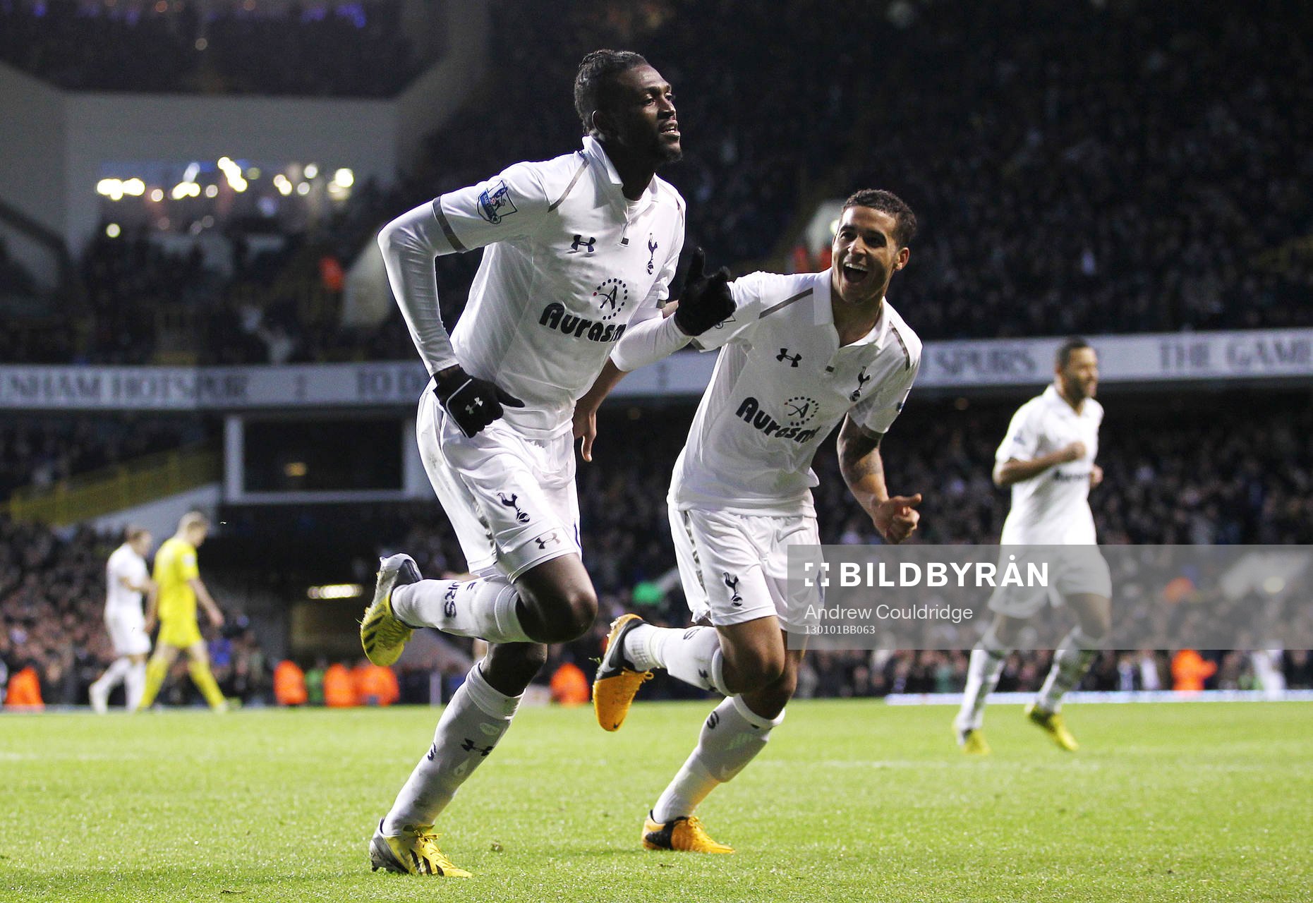 Football - Tottenham Hotspur v Reading - Barclays Premier