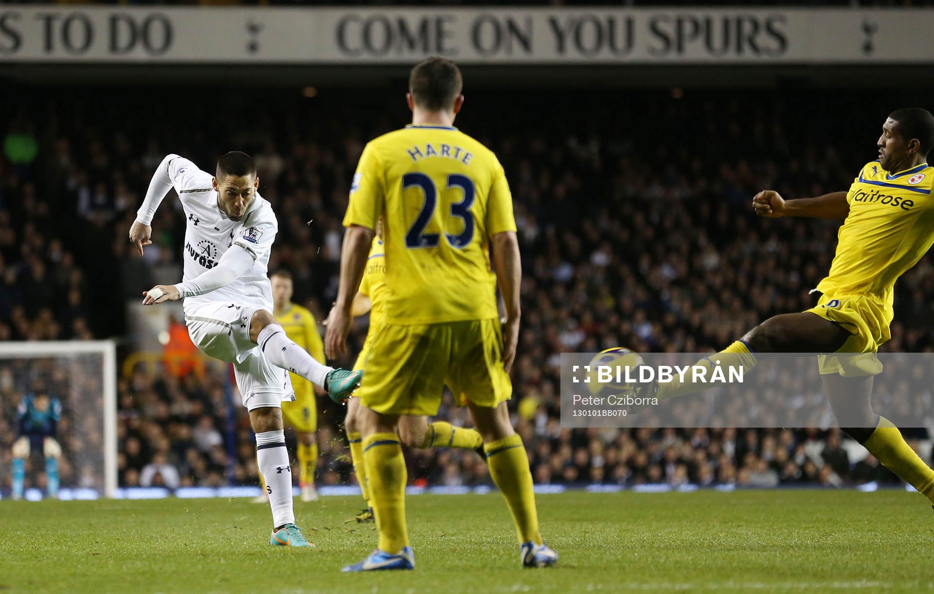 Football - Tottenham Hotspur v Reading - Barclays Premier