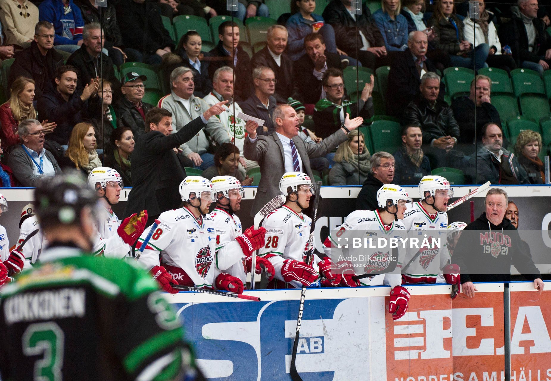 Ulf Samuelsson och Peter Andersson, tränare, Modo