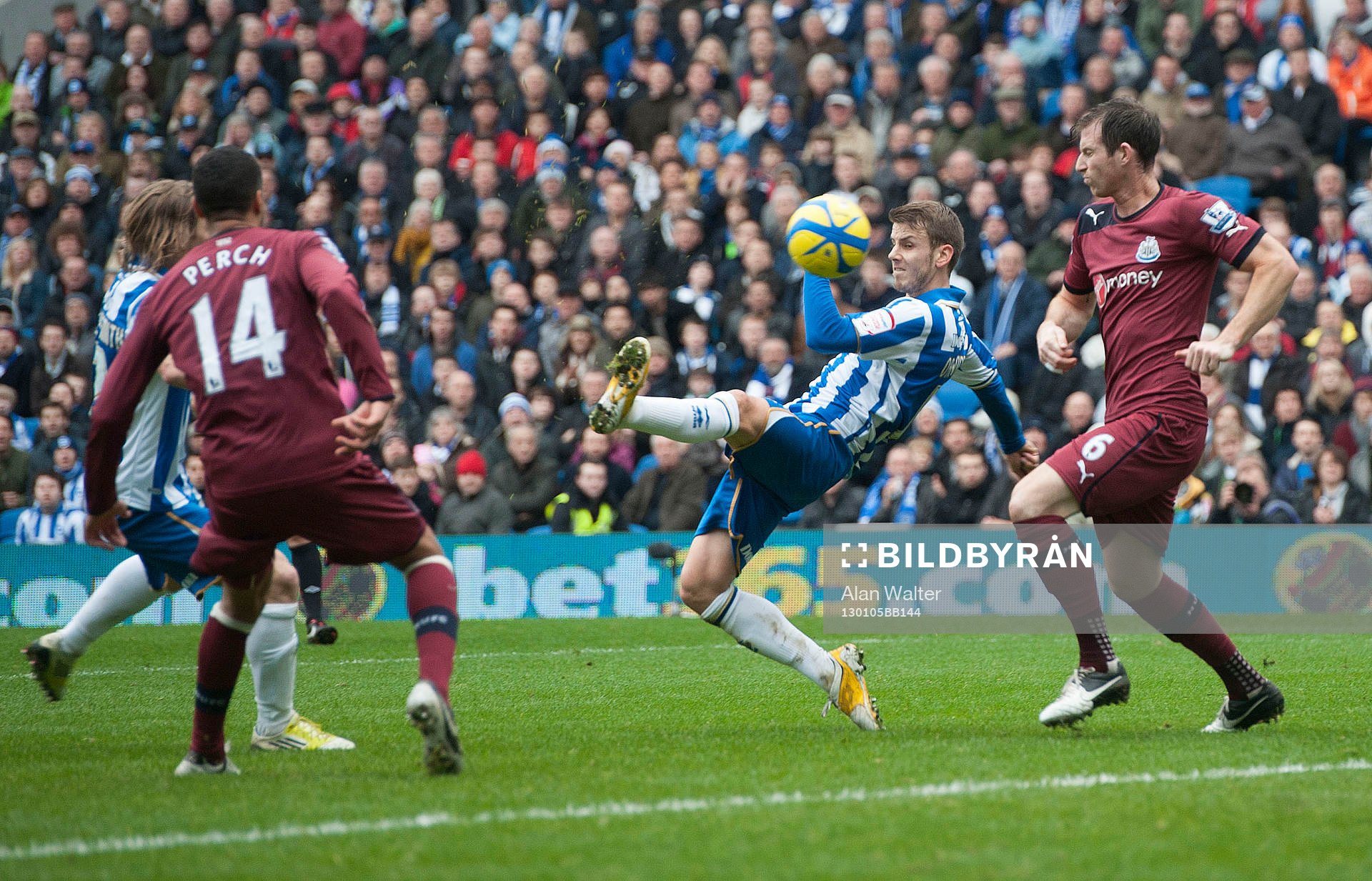 Football - Brighton & Hove Albion v Newcastle United - FA