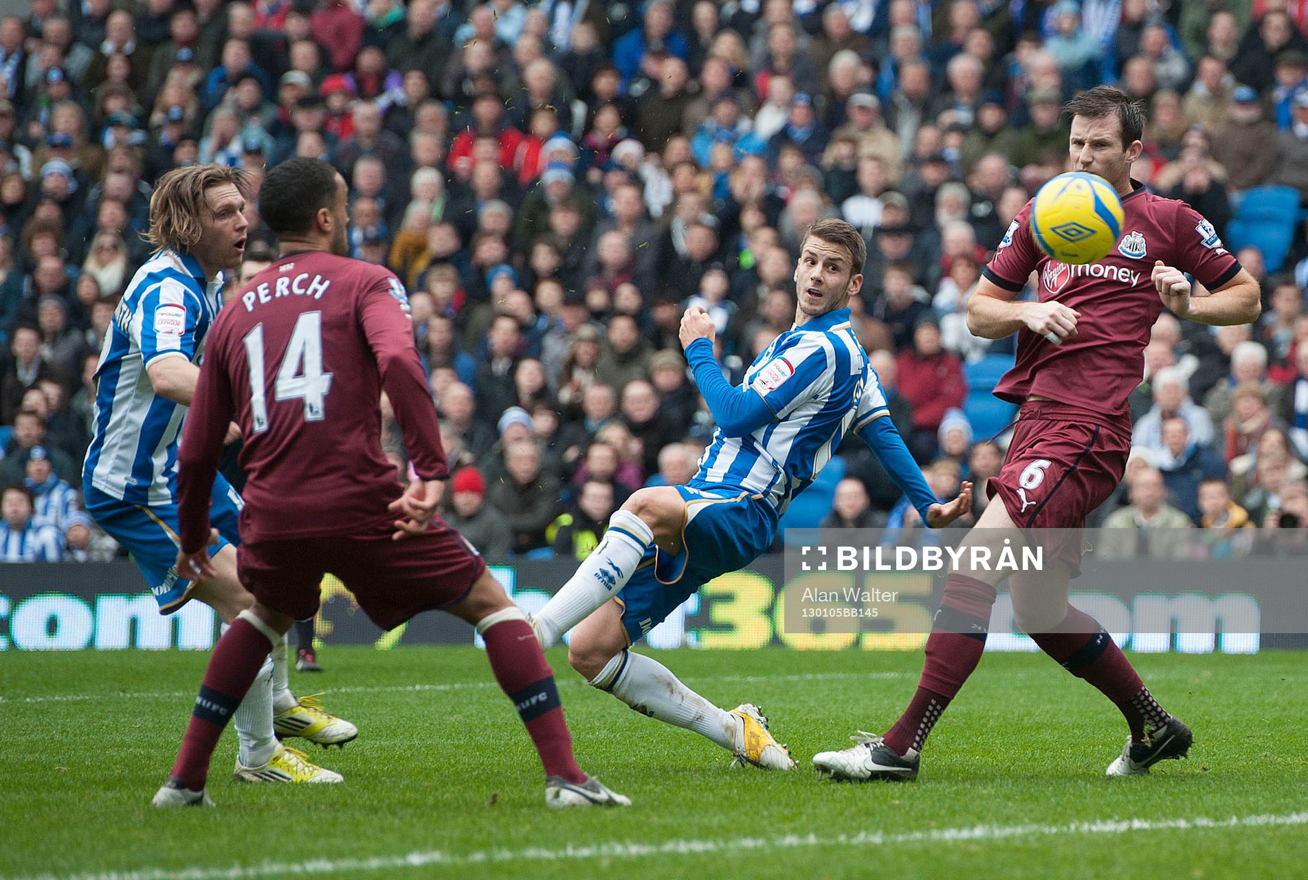 Football - Brighton & Hove Albion v Newcastle United - FA