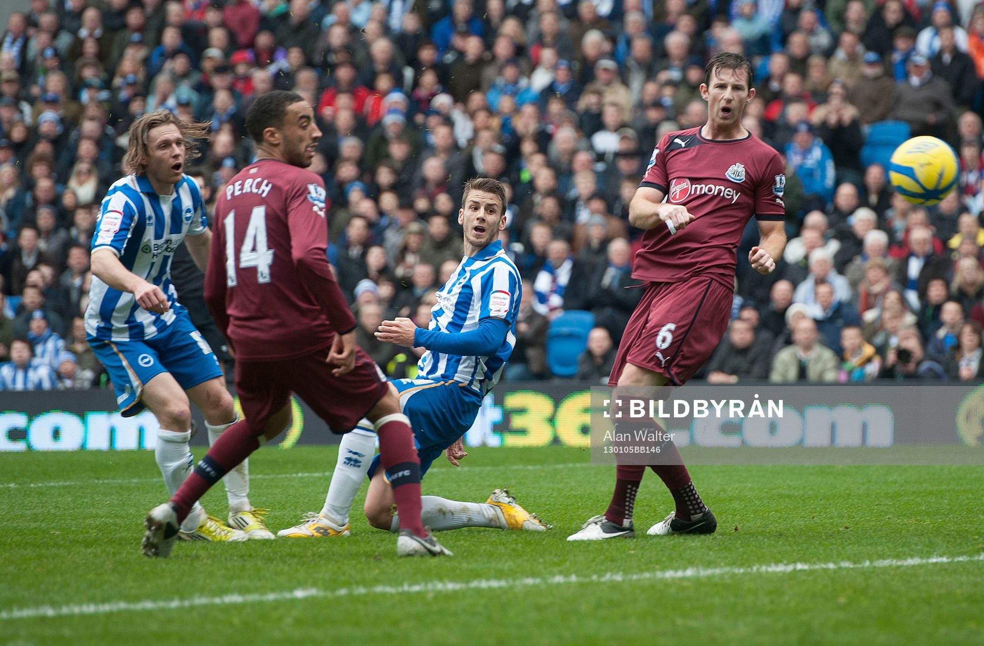 Football - Brighton & Hove Albion v Newcastle United - FA