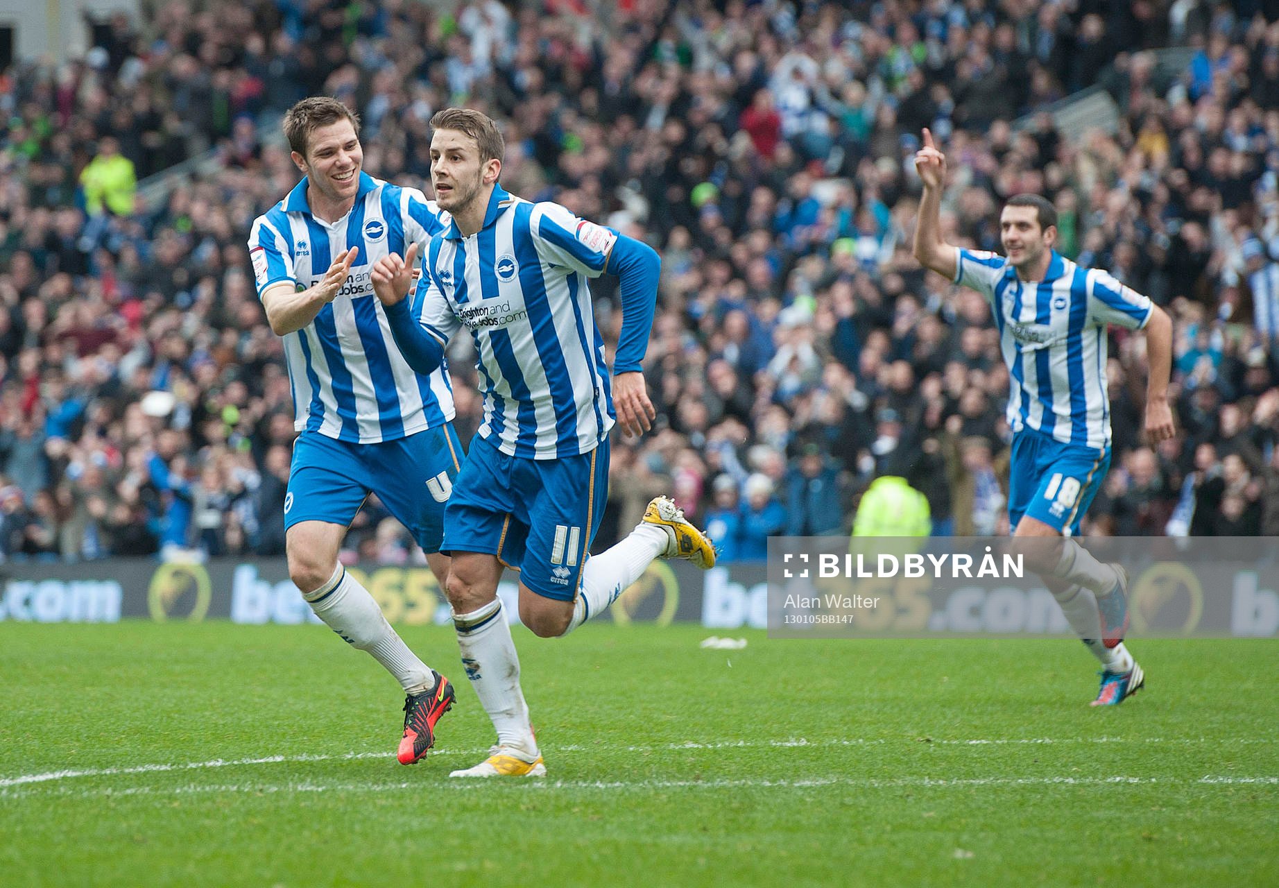 Football - Brighton & Hove Albion v Newcastle United - FA