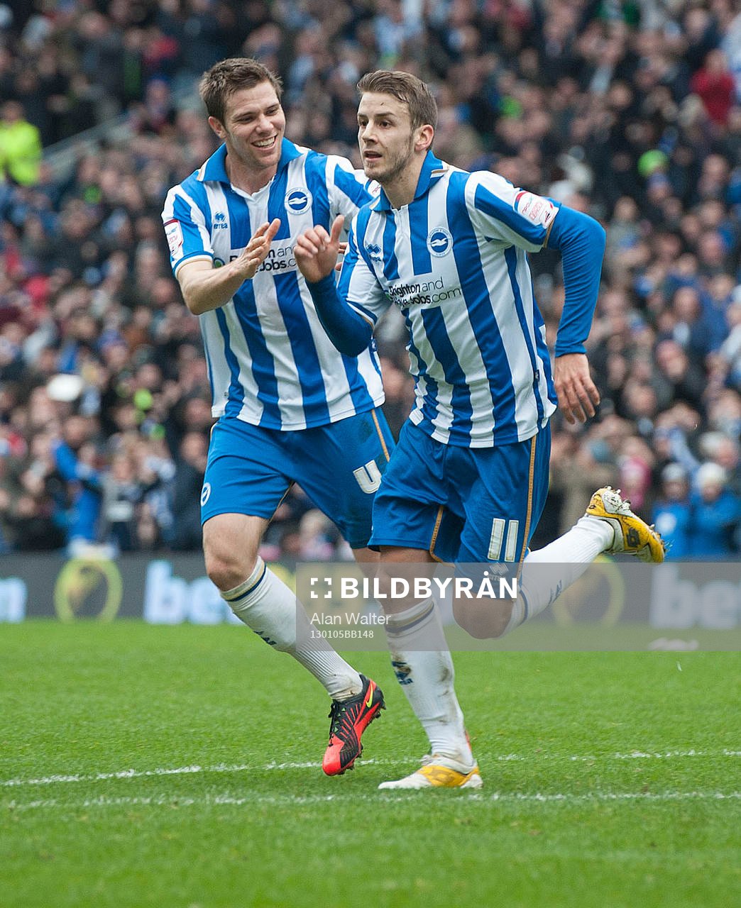 Football - Brighton & Hove Albion v Newcastle United - FA