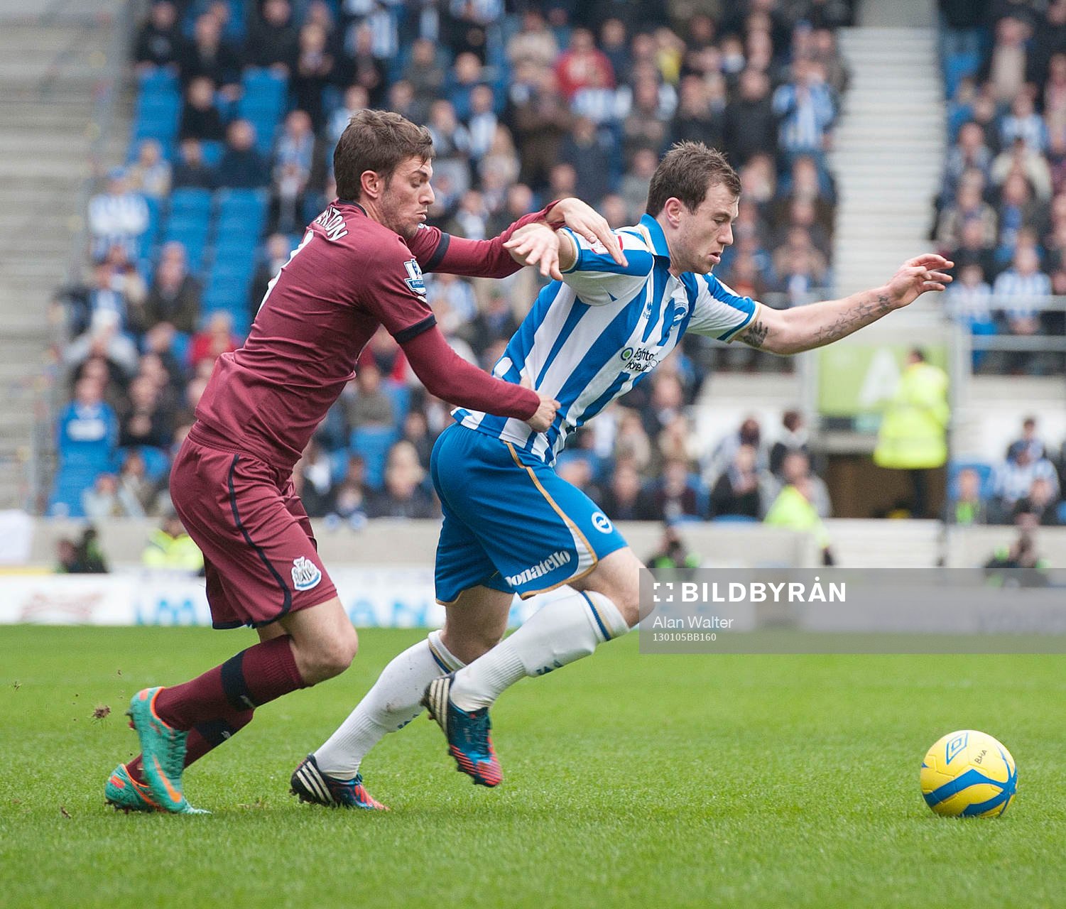 Football - Brighton & Hove Albion v Newcastle United - FA