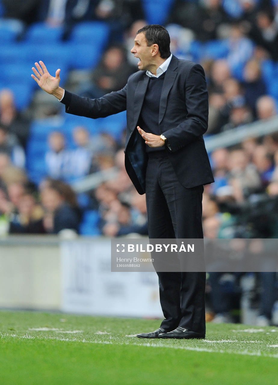 Football - Brighton & Hove Albion v Newcastle United - FA