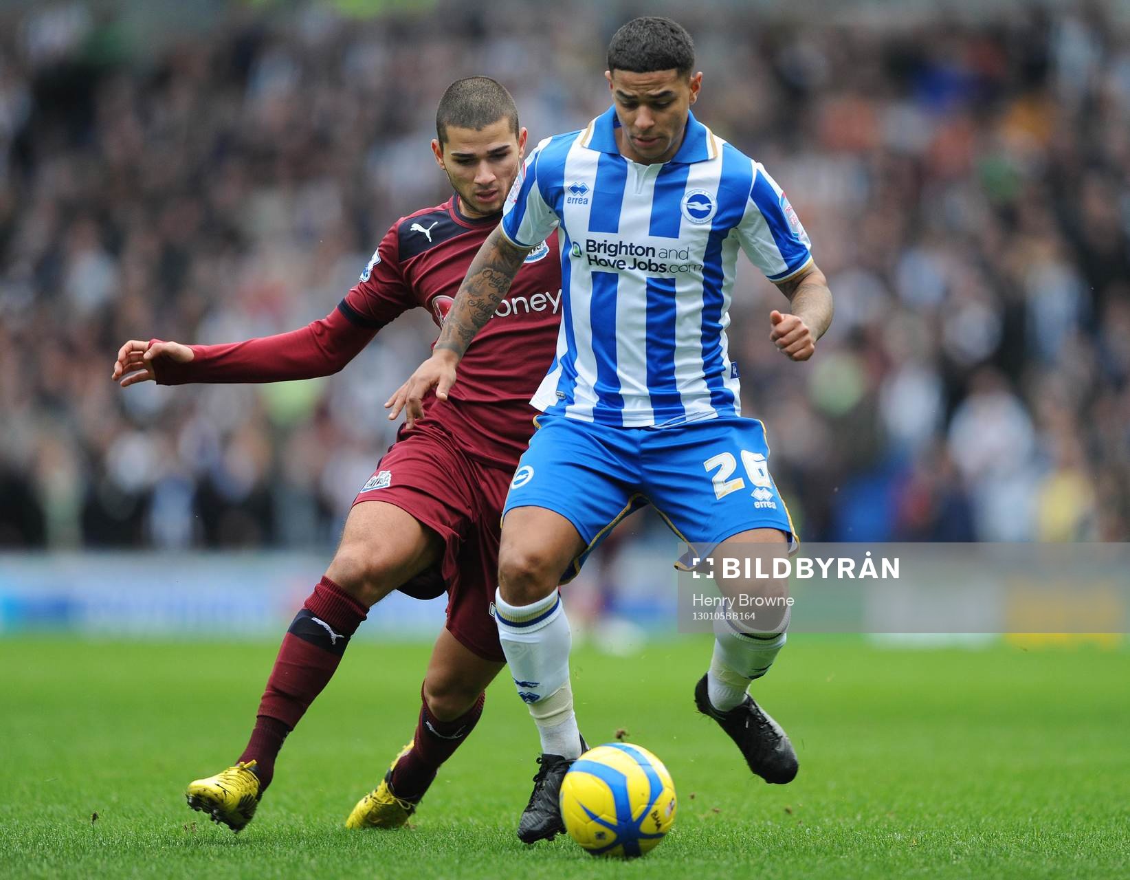 Football - Brighton & Hove Albion v Newcastle United - FA