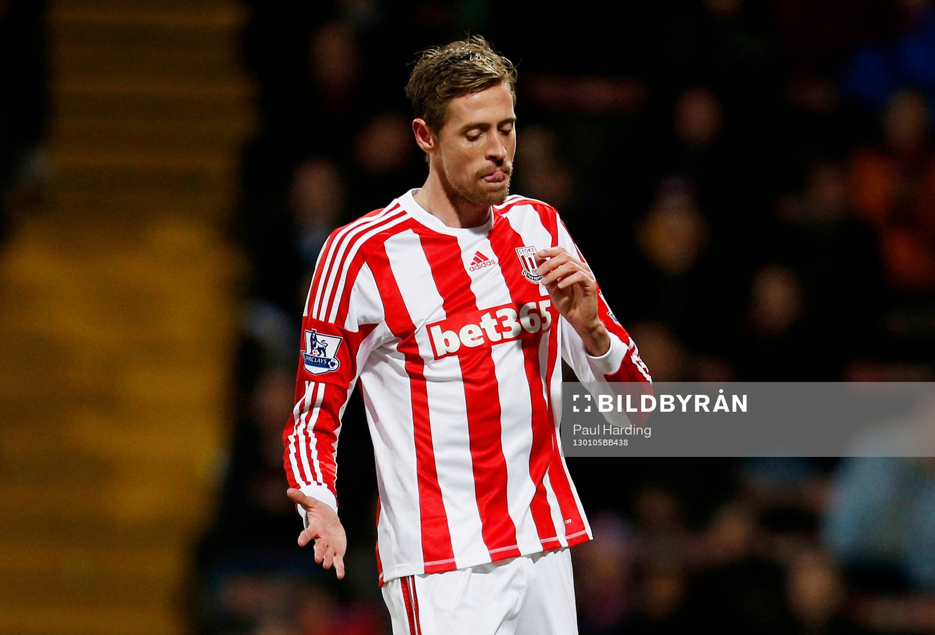 Football - Crystal Palace v Stoke City - FA Cup Third Round