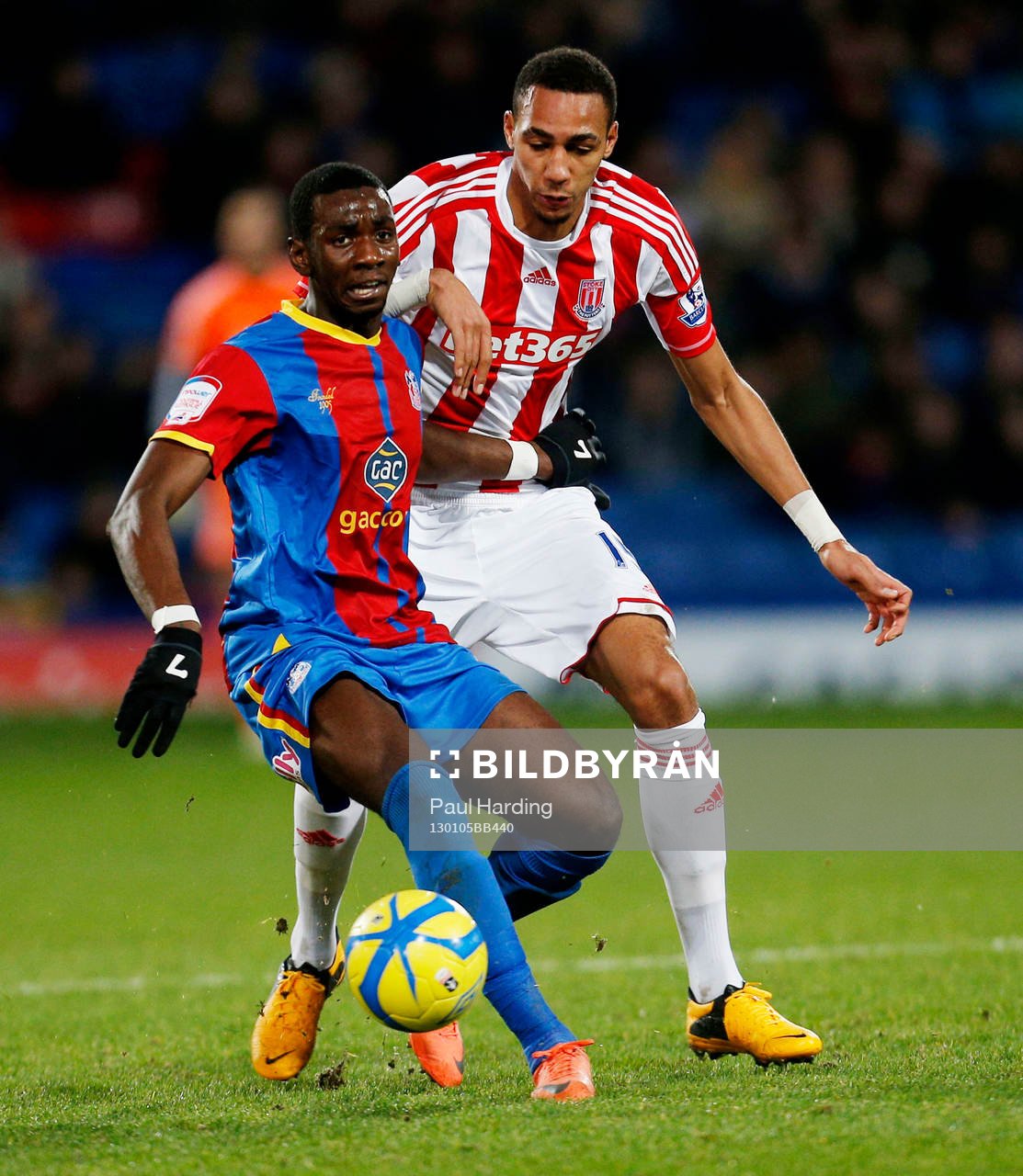 Football - Crystal Palace v Stoke City - FA Cup Third Round