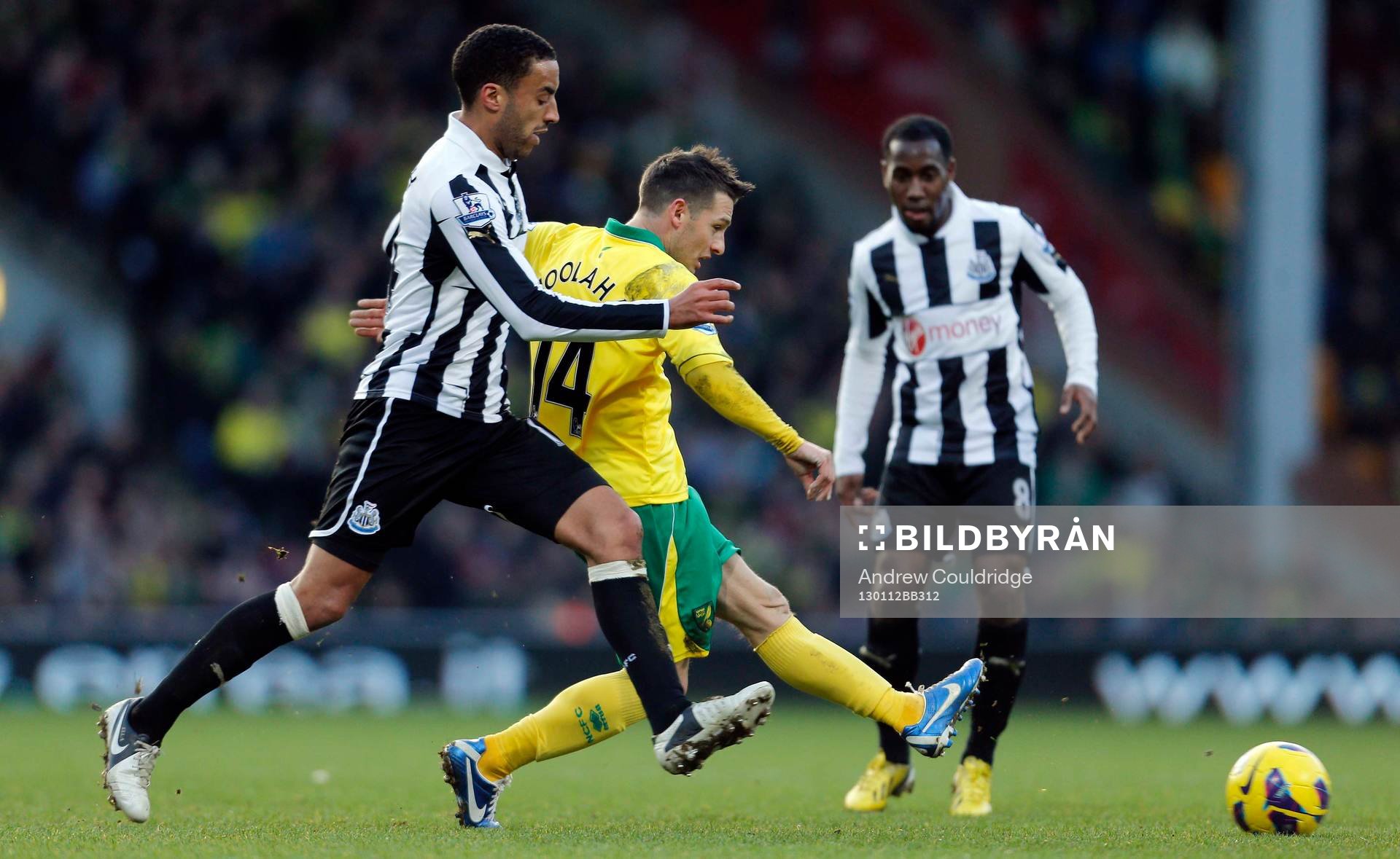 Football - Norwich City v Newcastle United - Barclays