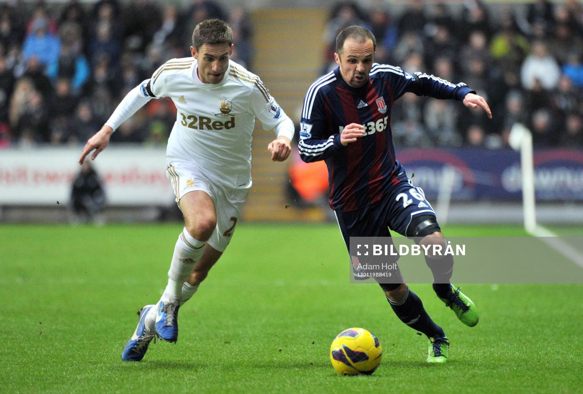 Football - Swansea City v Stoke City - Barclays Premier