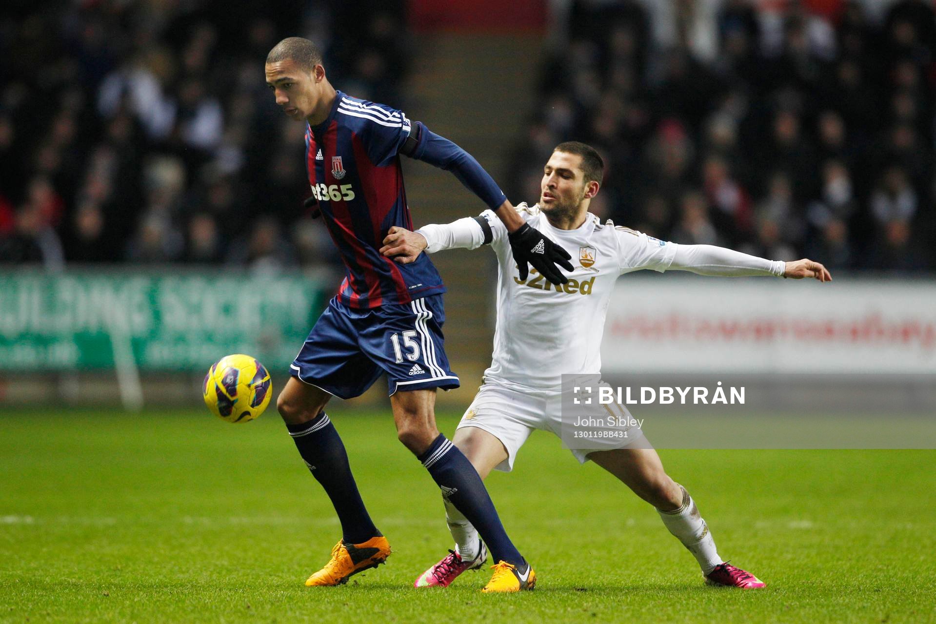 Football - Swansea City v Stoke City - Barclays Premier