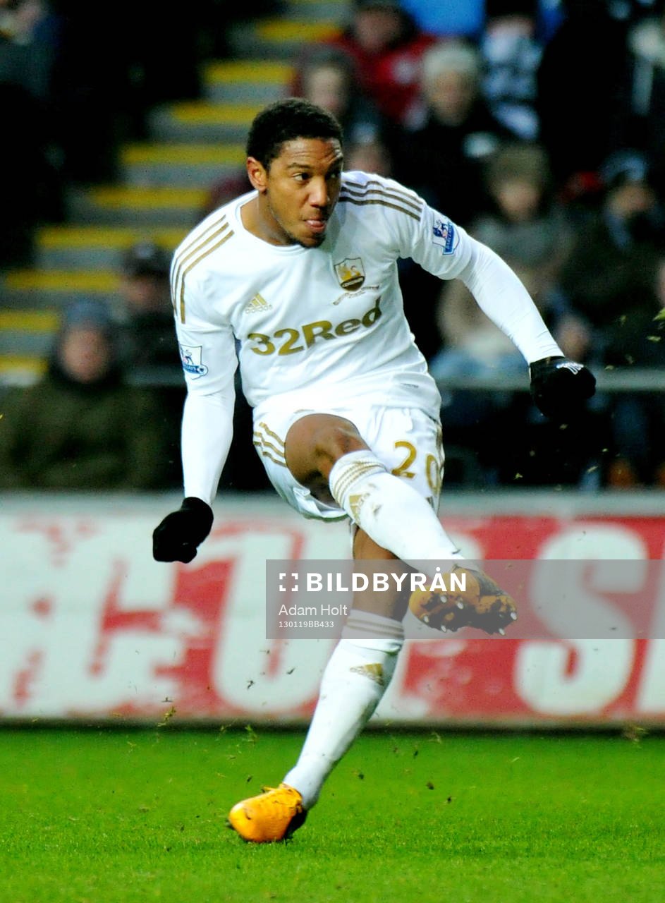 Football - Swansea City v Stoke City - Barclays Premier