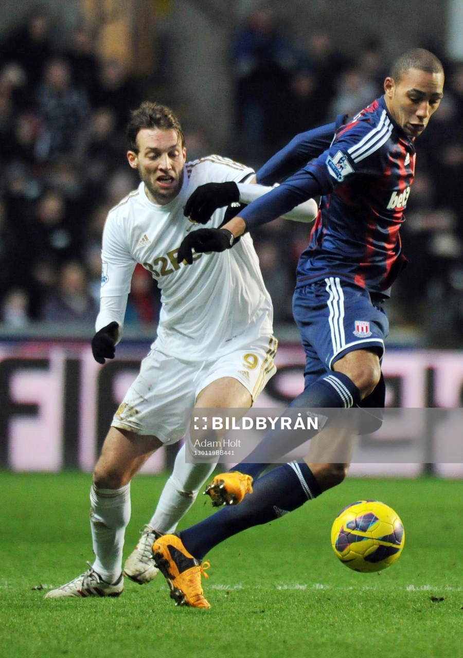 Football - Swansea City v Stoke City - Barclays Premier