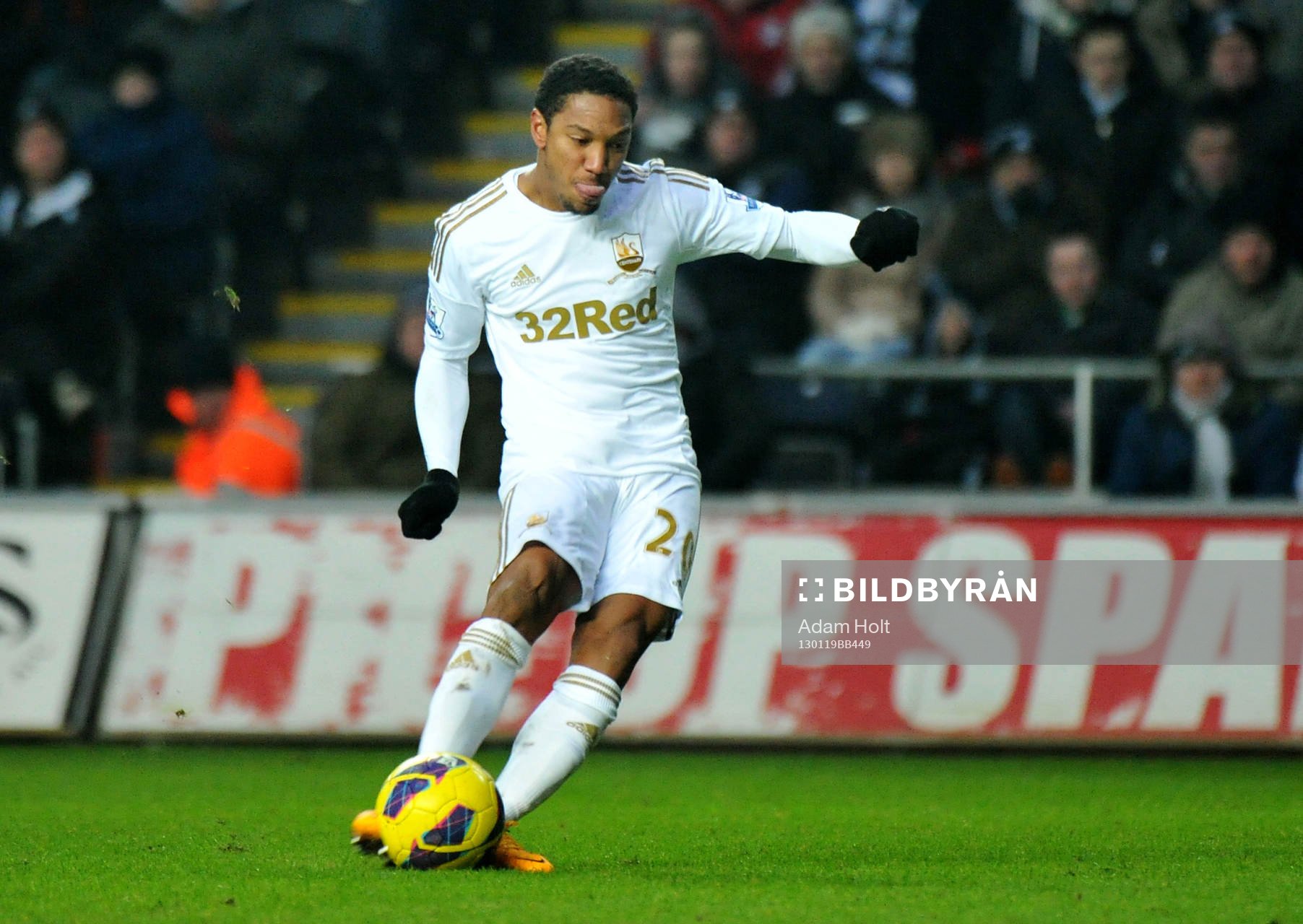 Football - Swansea City v Stoke City - Barclays Premier