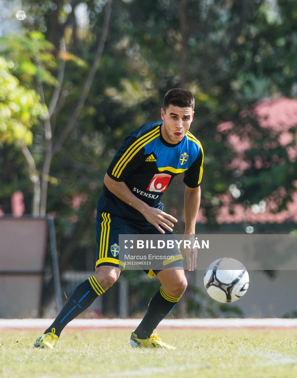 Erdin Demir