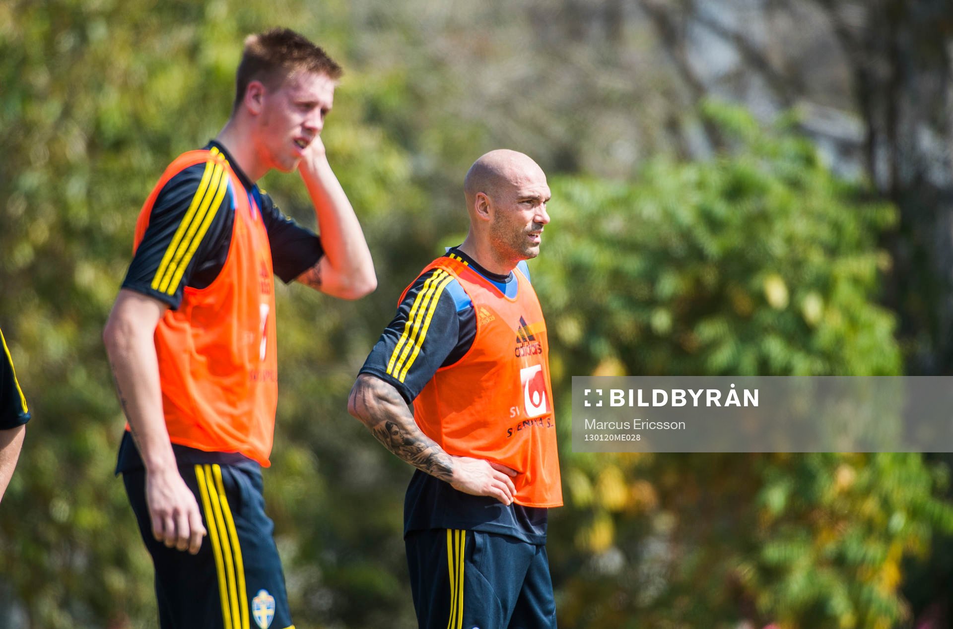 Pontus Jansson och Daniel Majstorovic som mittbackspar