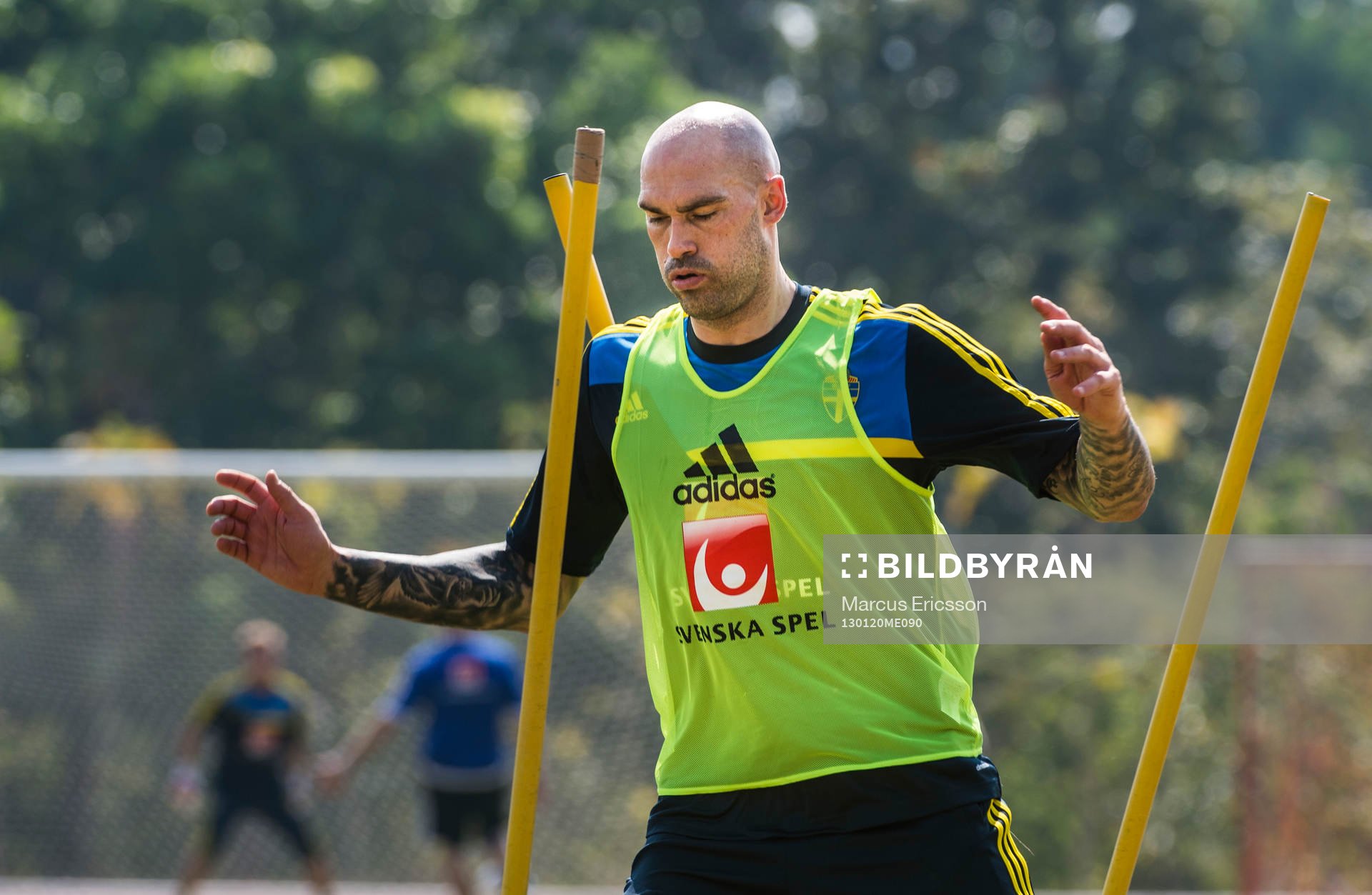 Daniel Majstorovic