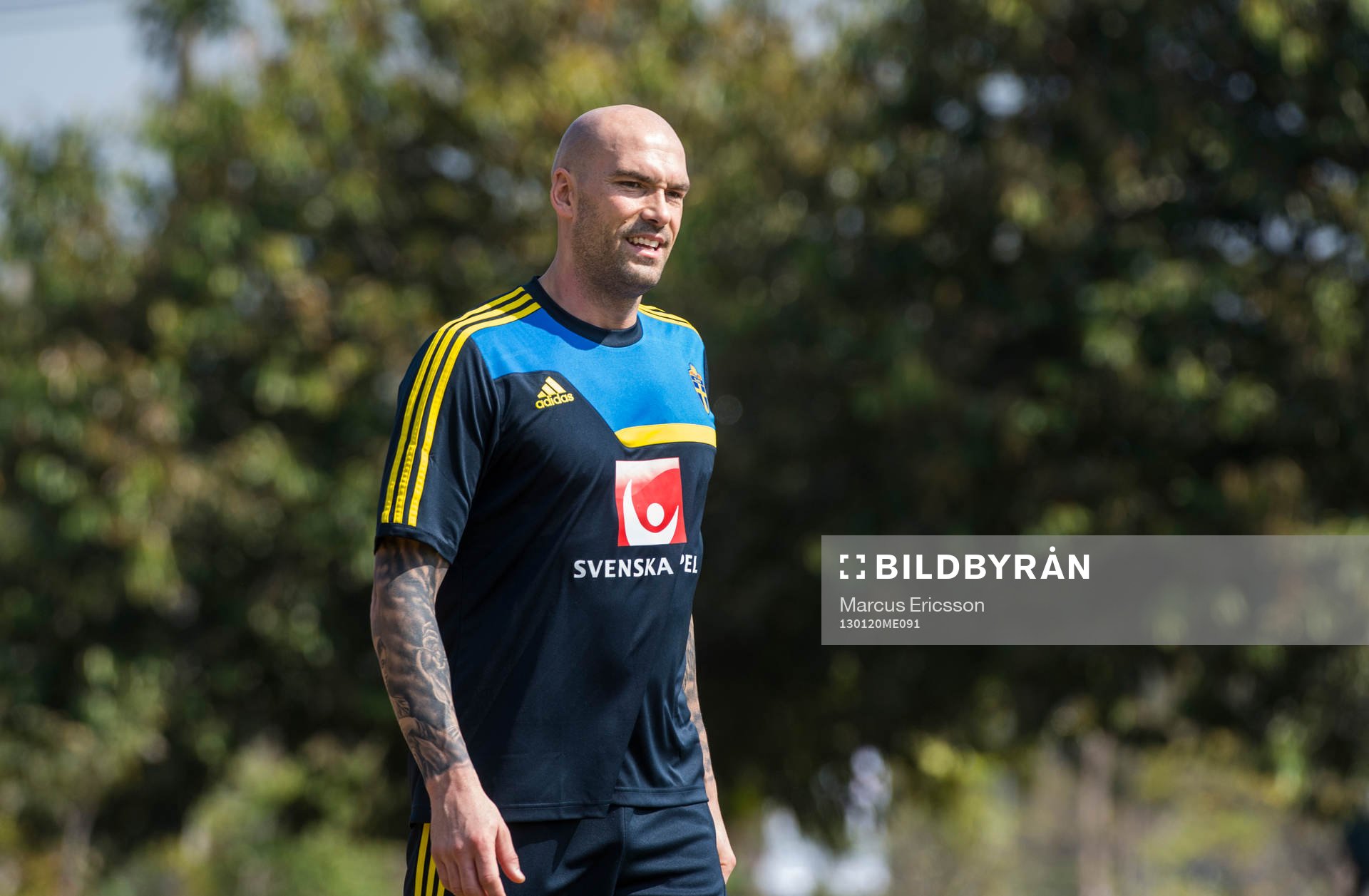 Daniel Majstorovic