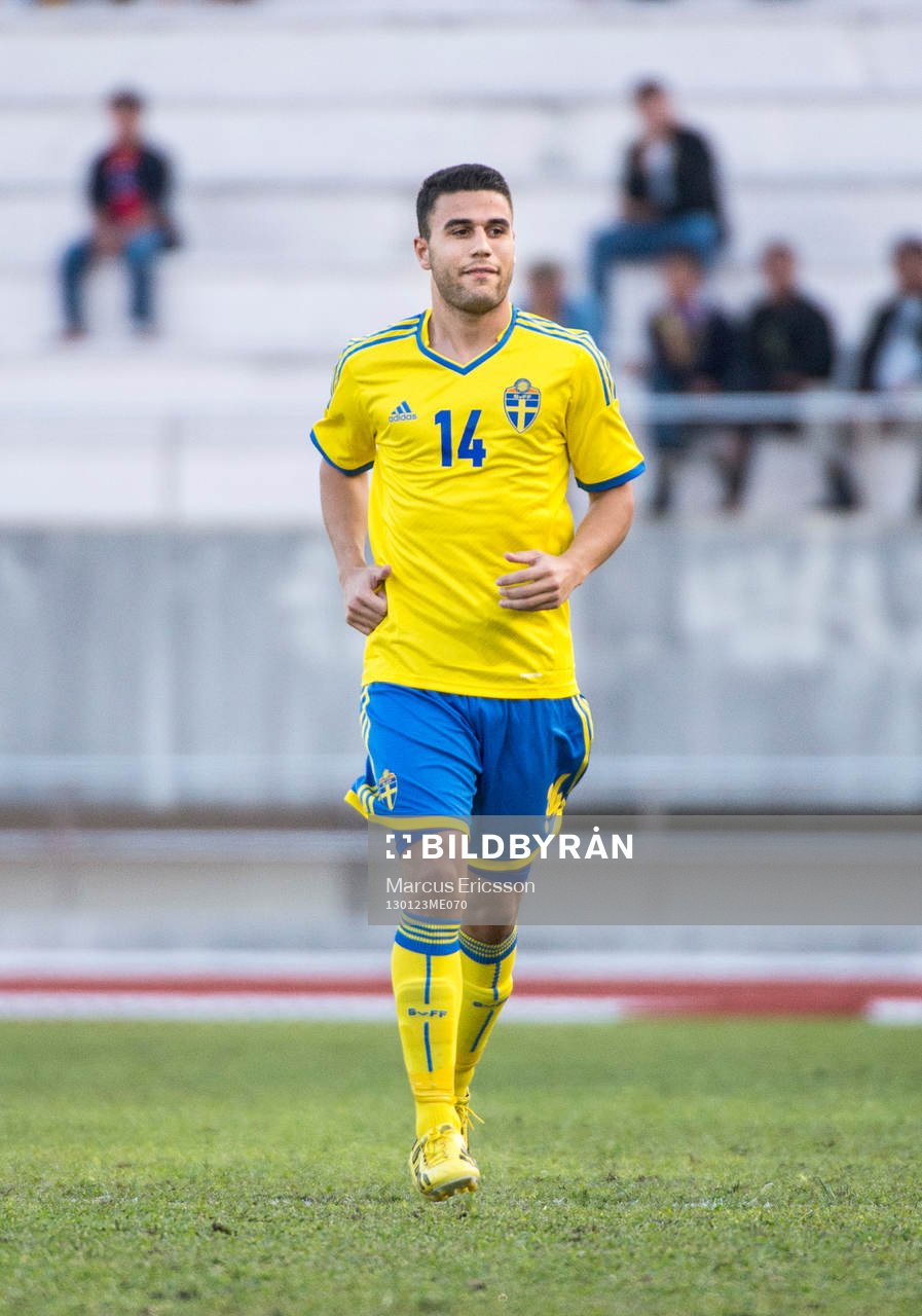 Erdin Demir, Sverige